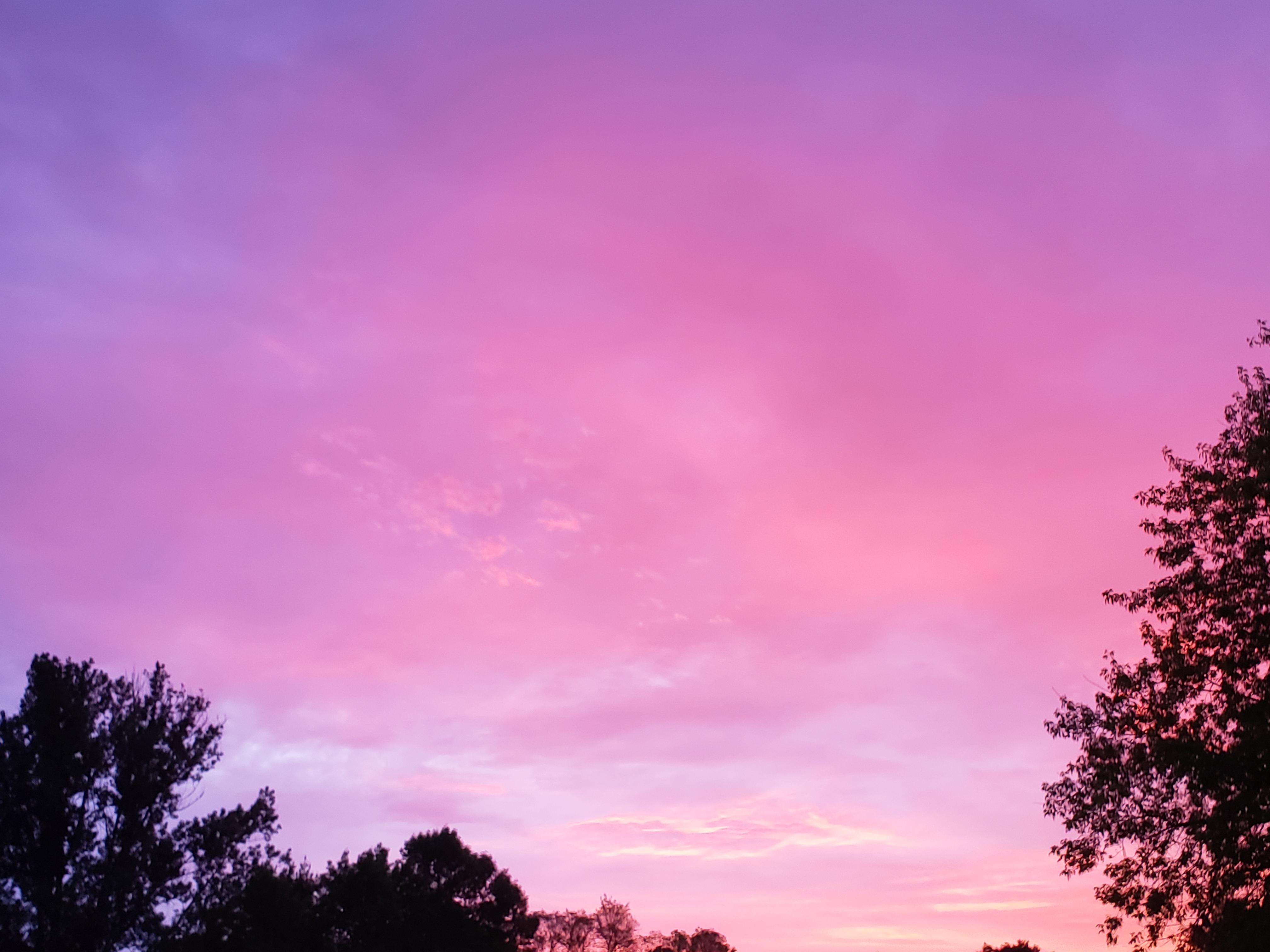 Pink sunrise in Wisconsin. r/SkyPorn
