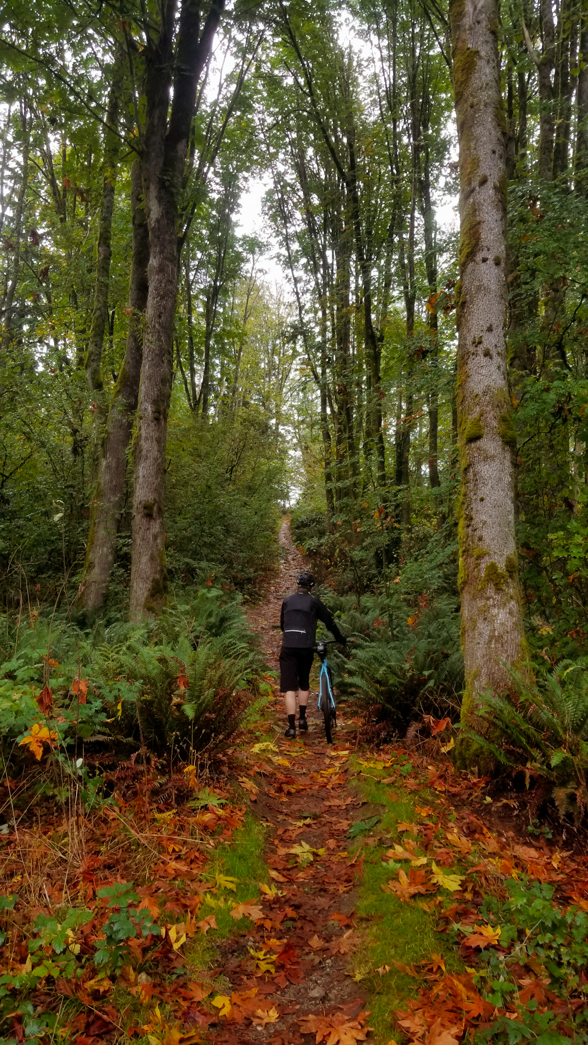 Pouring rain gravel biking hikeabike section. Vancouver, BC, Canada