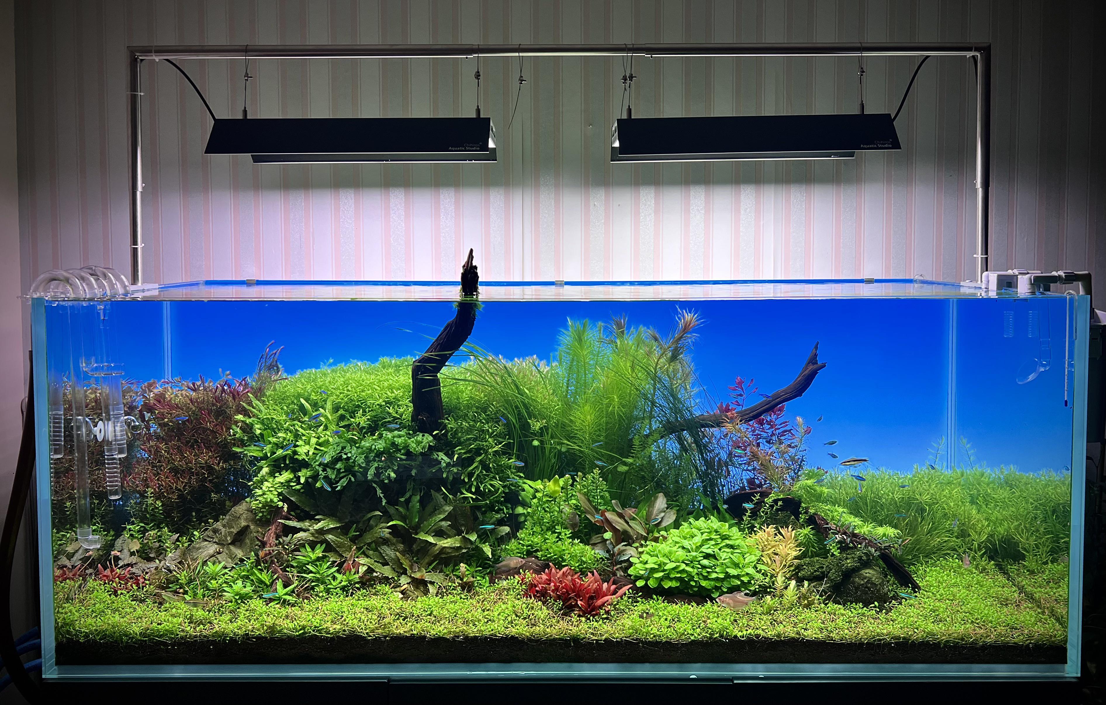 Evolution Aqua 1500 455L High tech IG Lockdown_Aquascaper