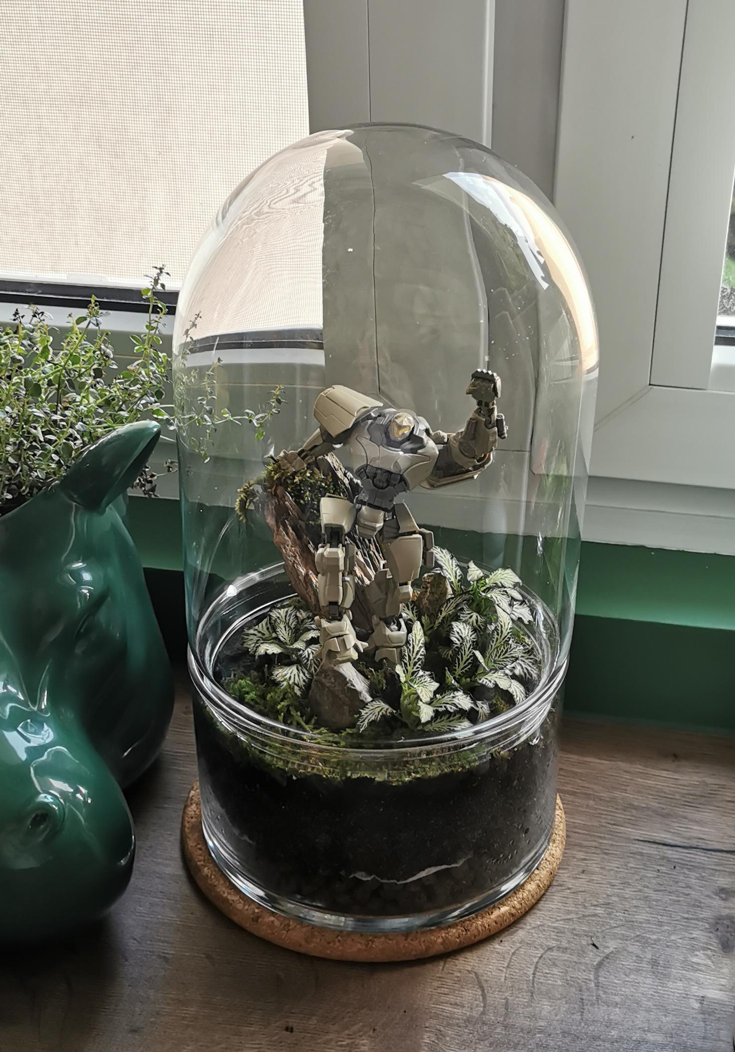 My first terrarium I made a month ago. Checked on it today and found