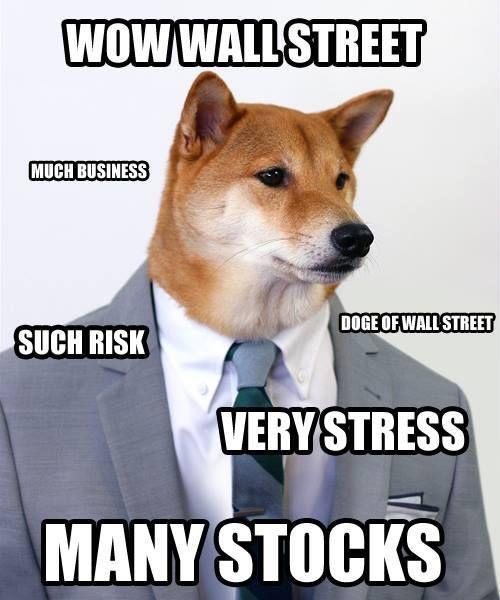 Doge from Wall Street! r/dogecoin