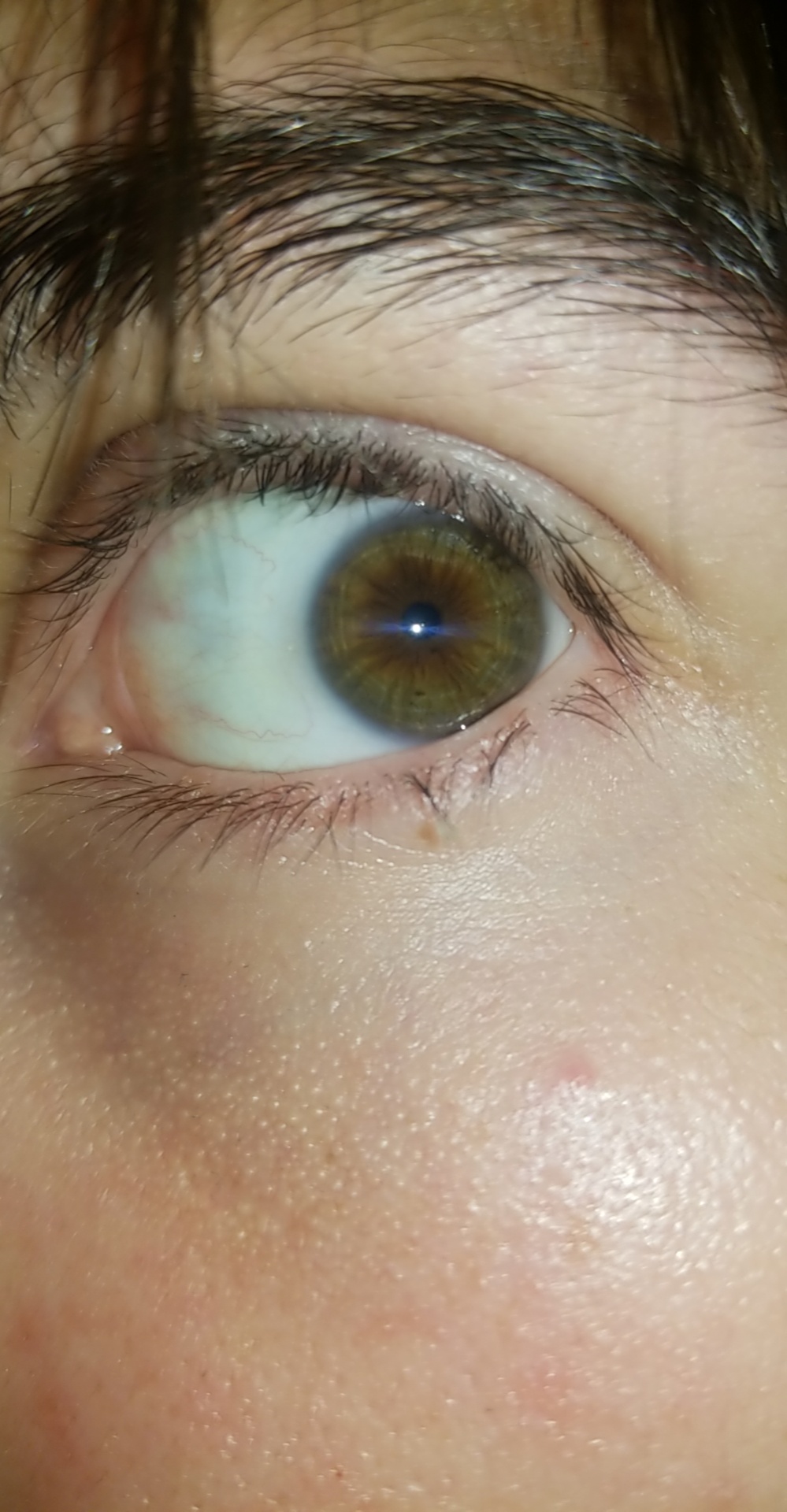 Dark Green Eye Color