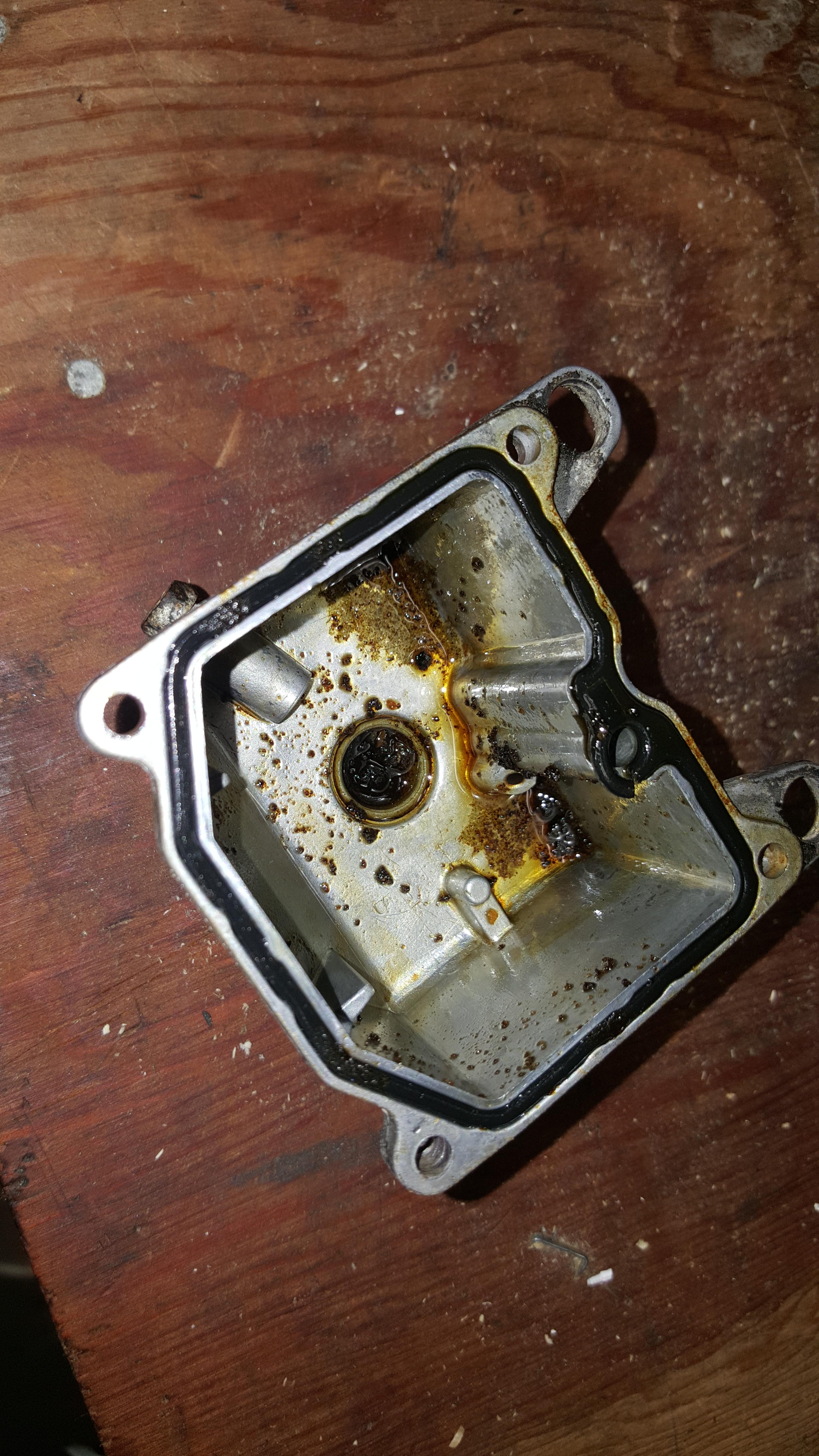 Got a free Yammie VX600C a few months back Started bring her back to