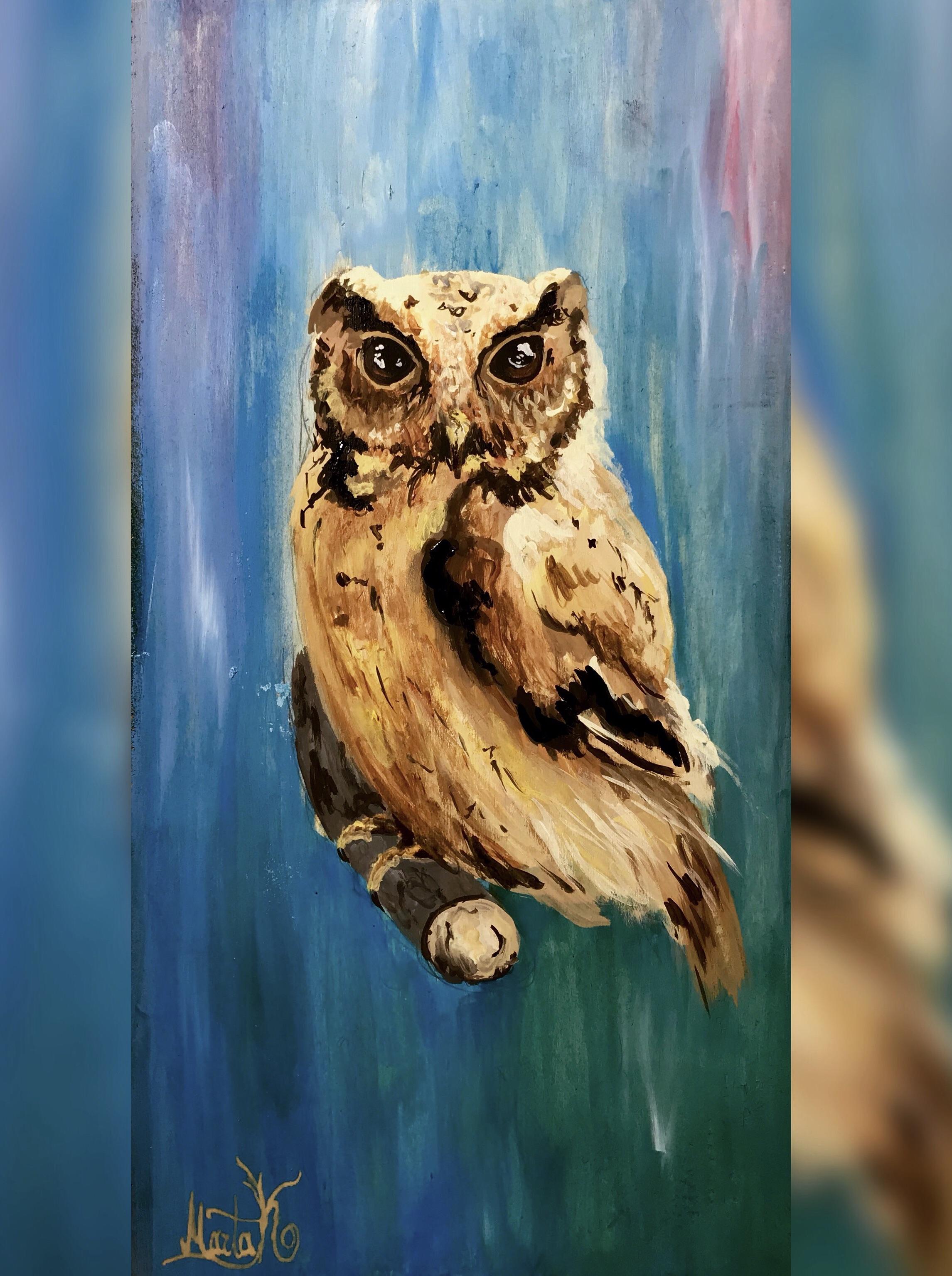 63 best u/psychogalaxy images on Pholder First time painting with a