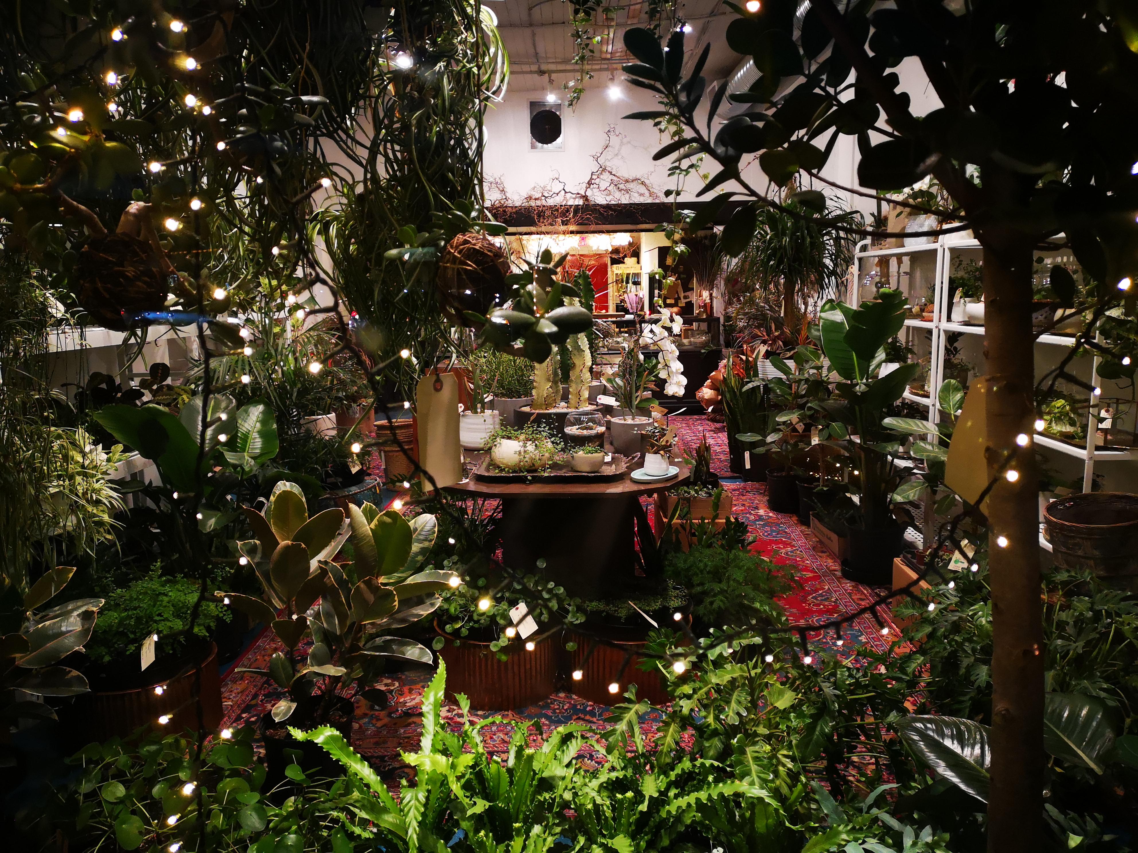 This plant shop was closed but still looked beautiful from the outside