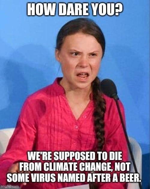 She’s back! r/CoronavirusMemes