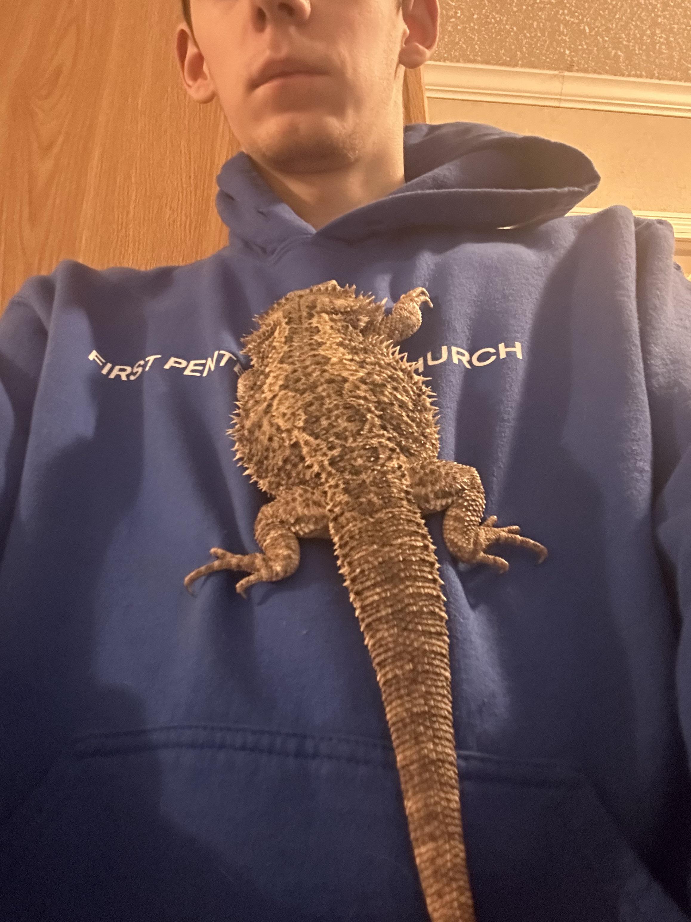 This is the most athletic thing she’s done! r/BeardedDragons