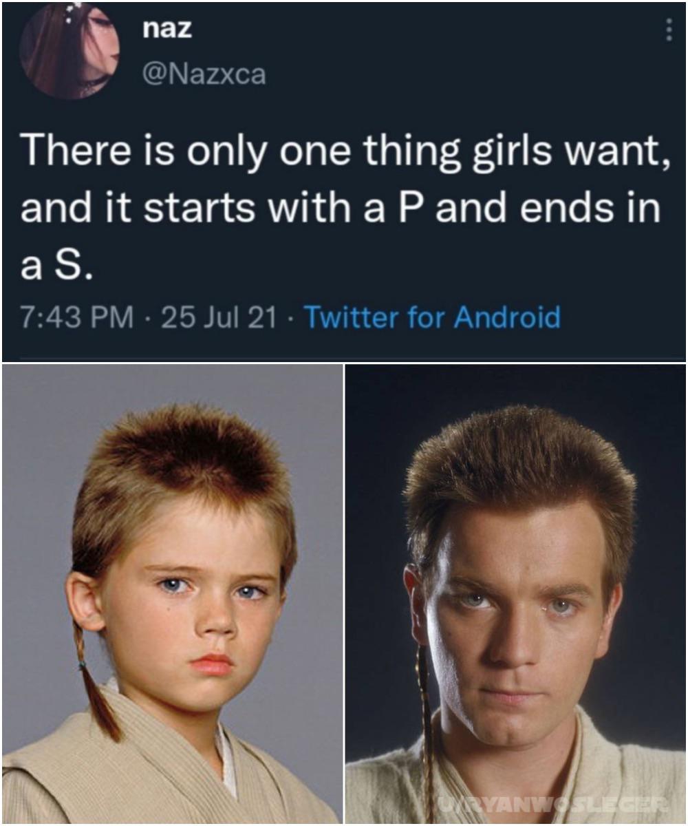 Its all about the braid r/PrequelMemes
