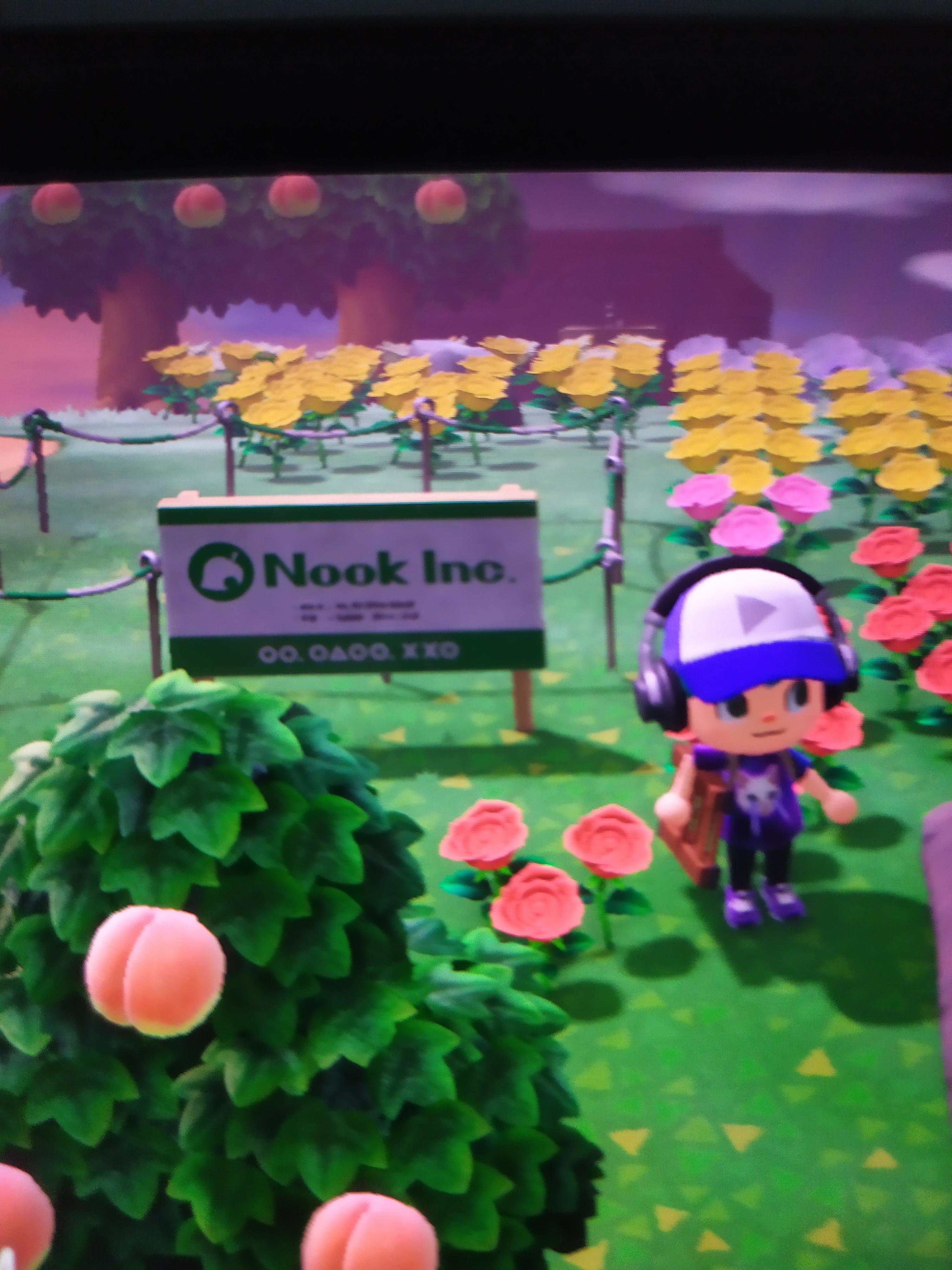I have an empty plot I tried to make a random villager move to it time