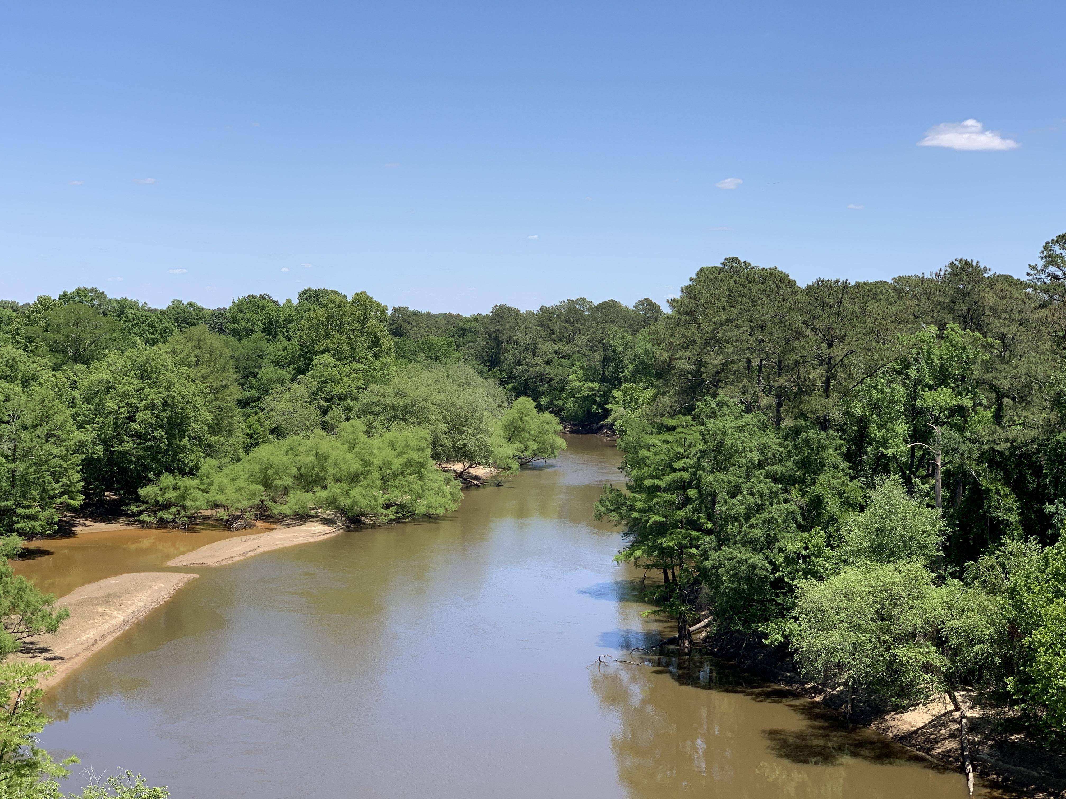 View of the Neuse river near Goldsboro, NC r/NorthCarolina