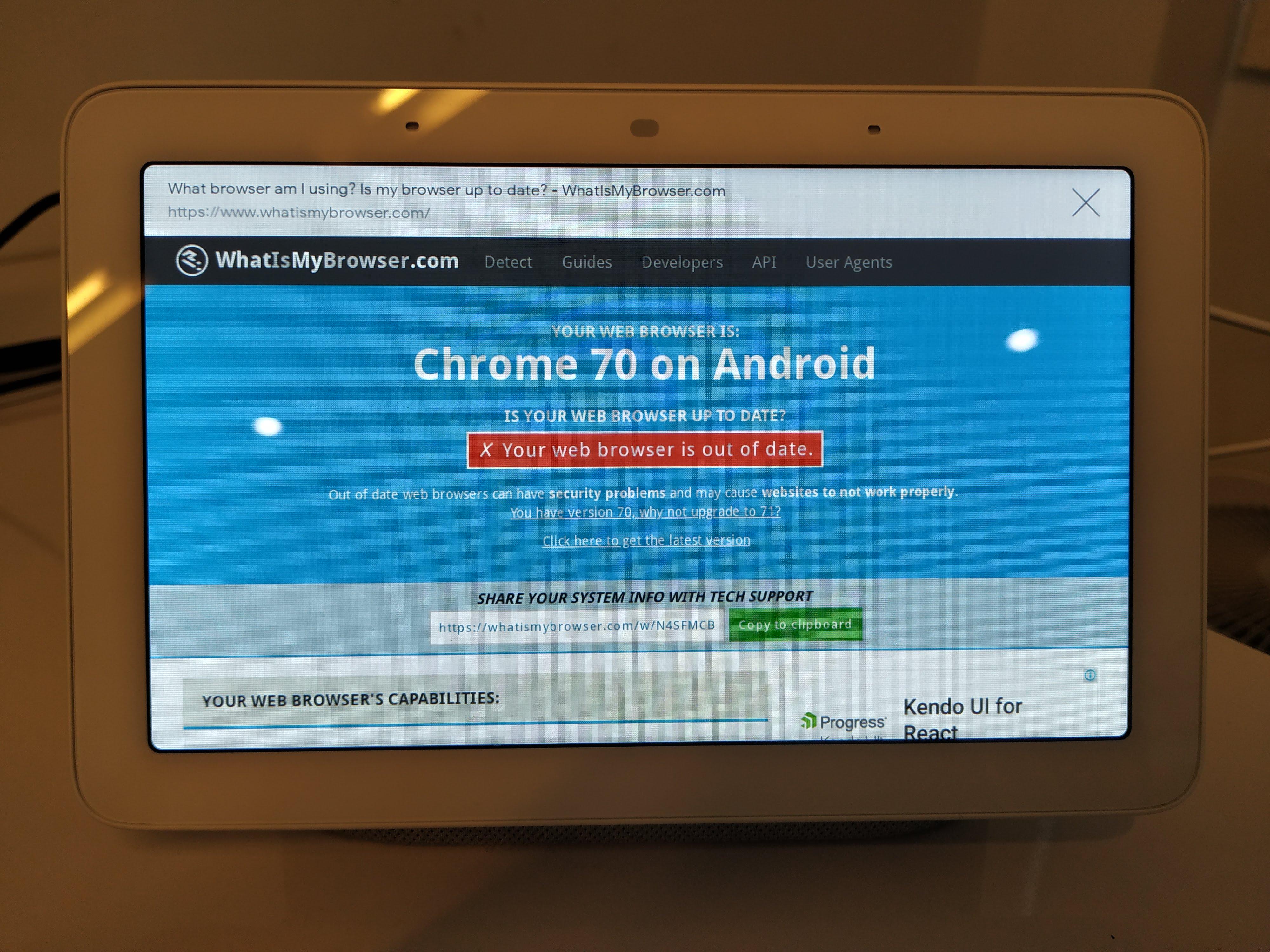 Google Home Hub's web browser googlehome