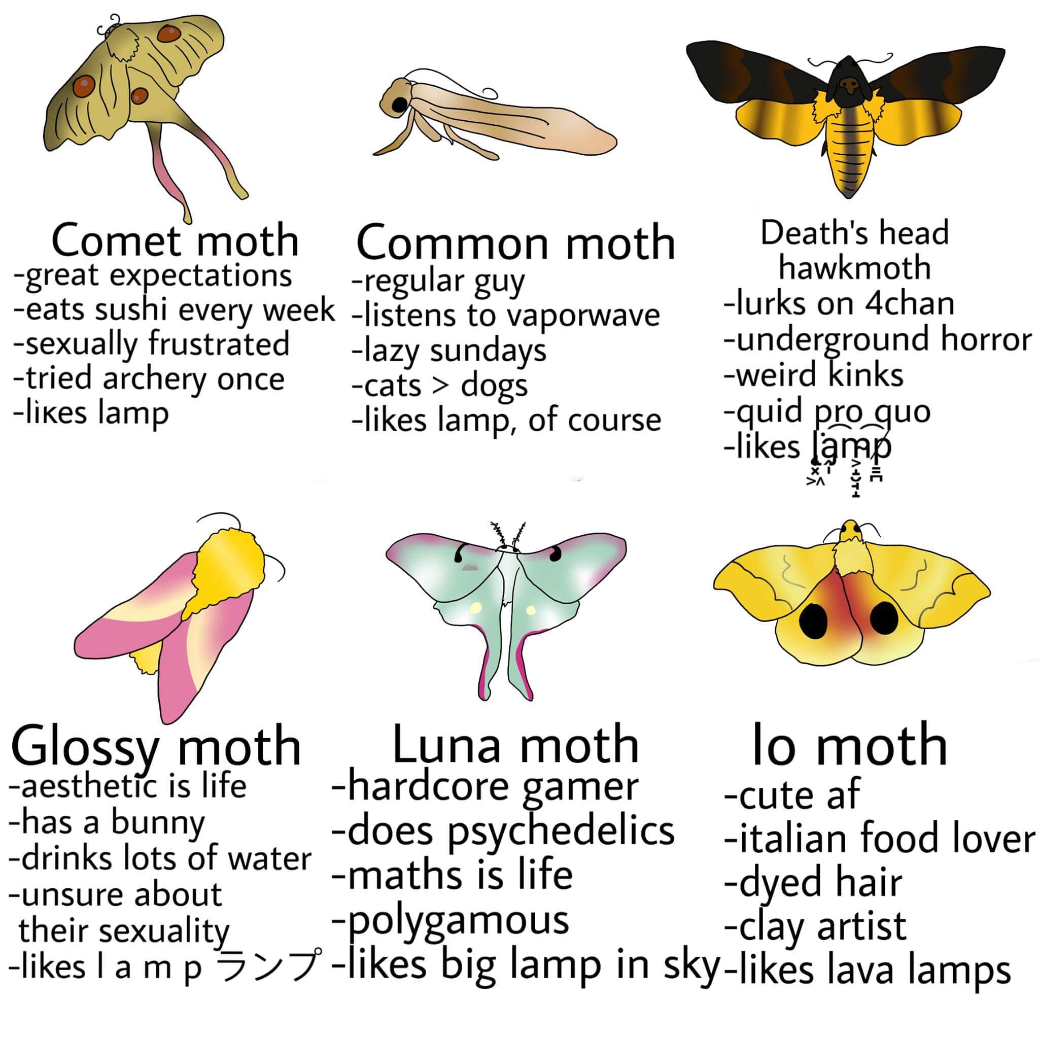 Moth Lava Lamp Meme
