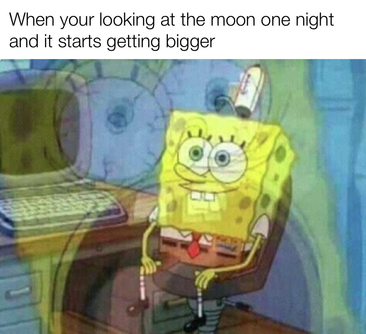 So this is how it ends r/memes