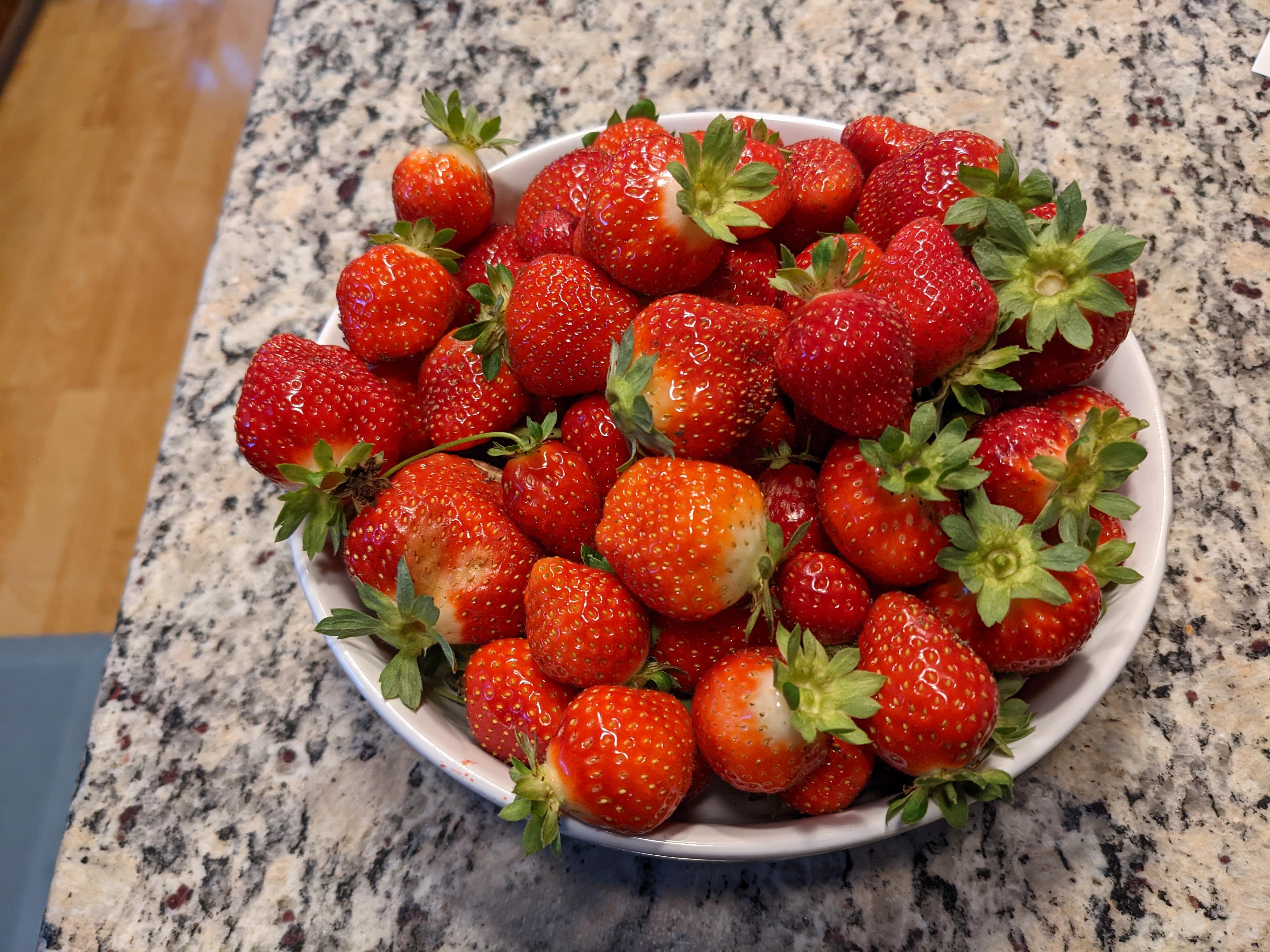 Still getting strawberries in midOctober. Zone 5b/6a (we live in flux