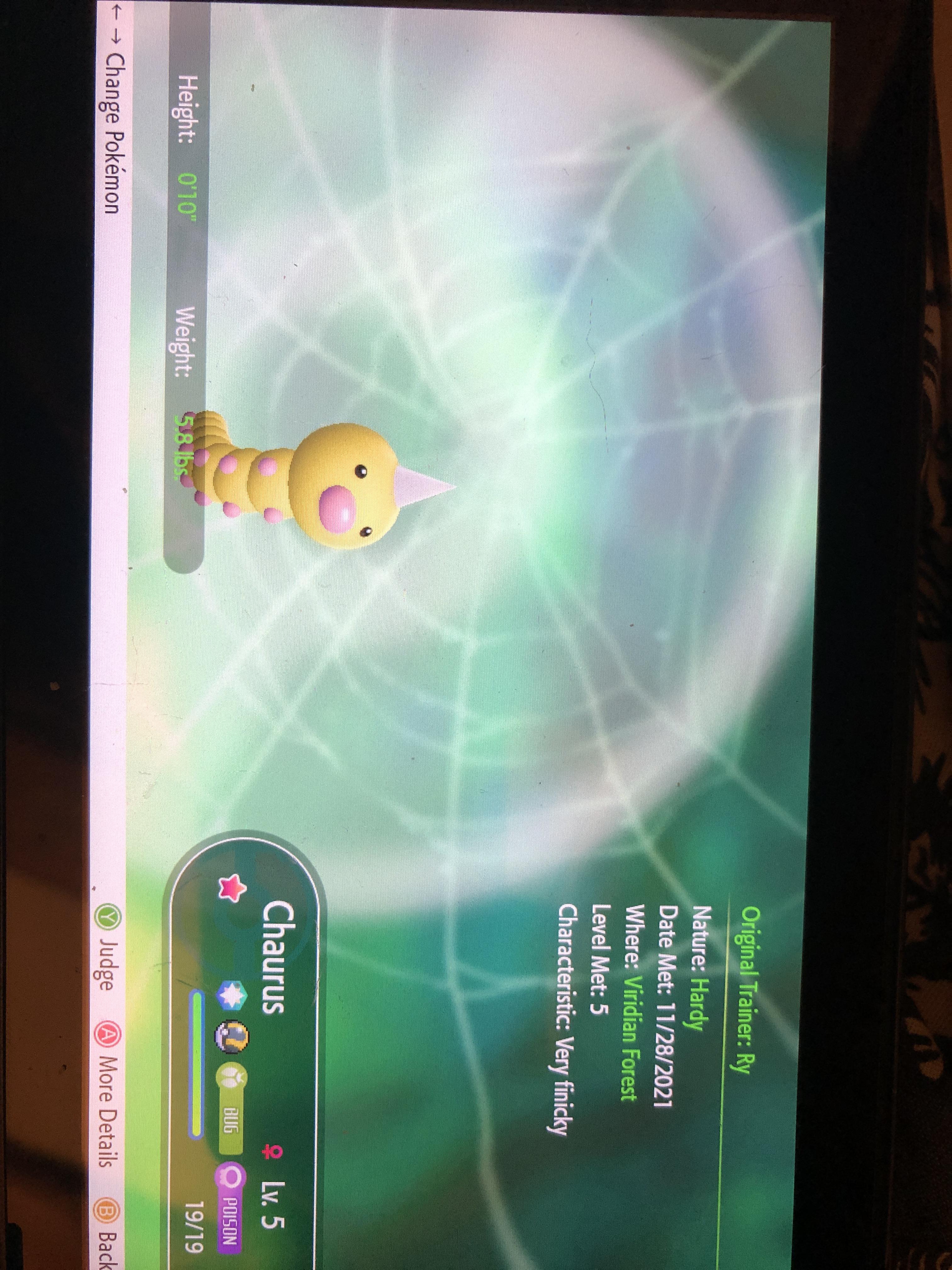 [LGPE] I wanted to do a hunt in Viridian Forest and ended up with this