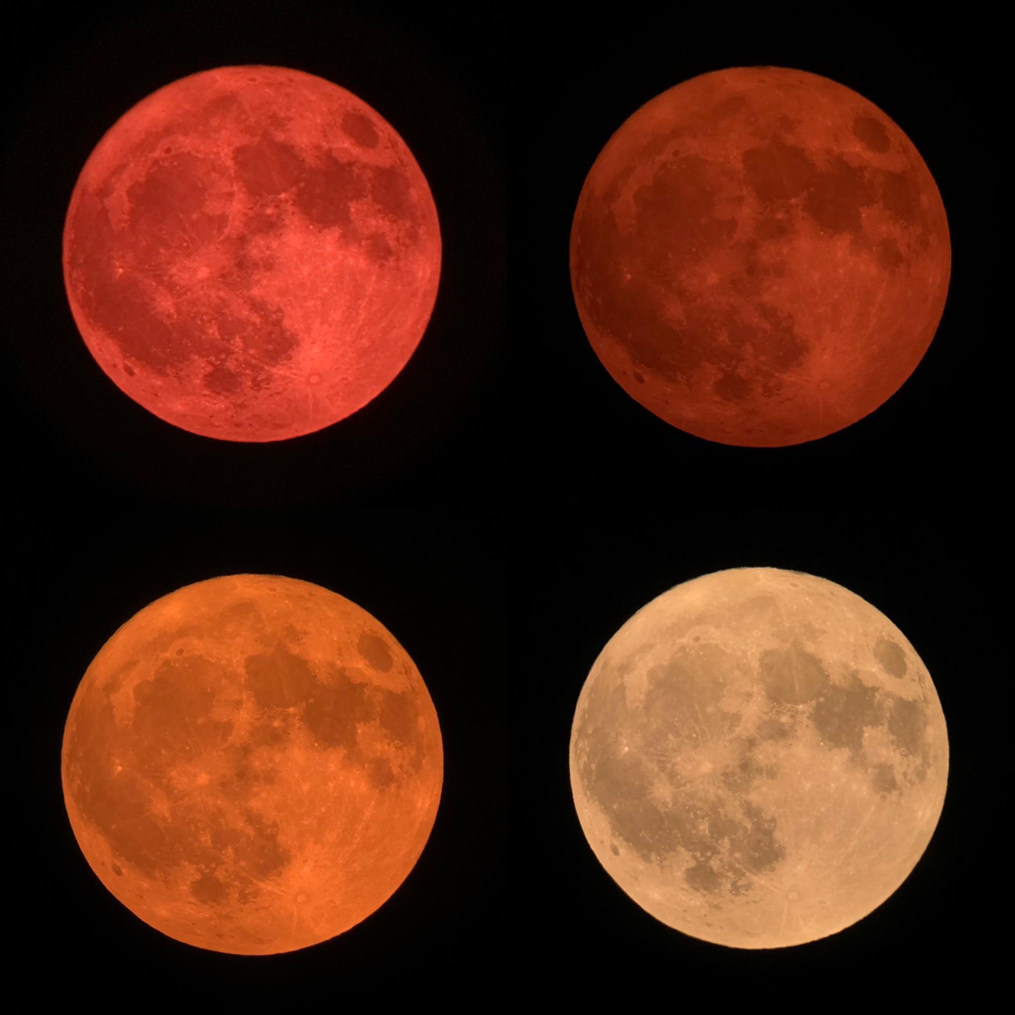 139 best Strawberry Moon images on Pholder Harvestmoon, Pics and