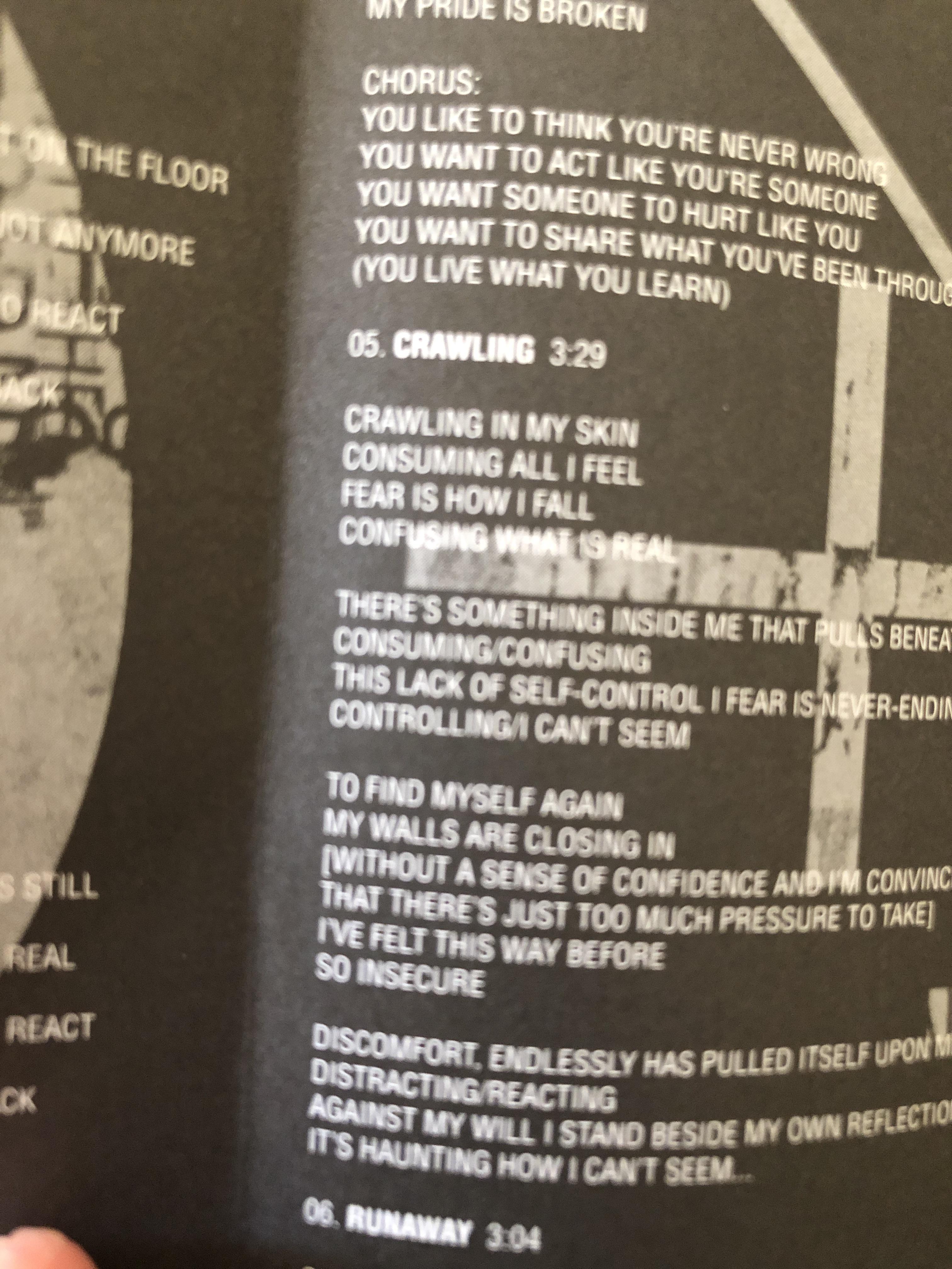 Just noticed the Hybrid Theory journal has different lyrics for the