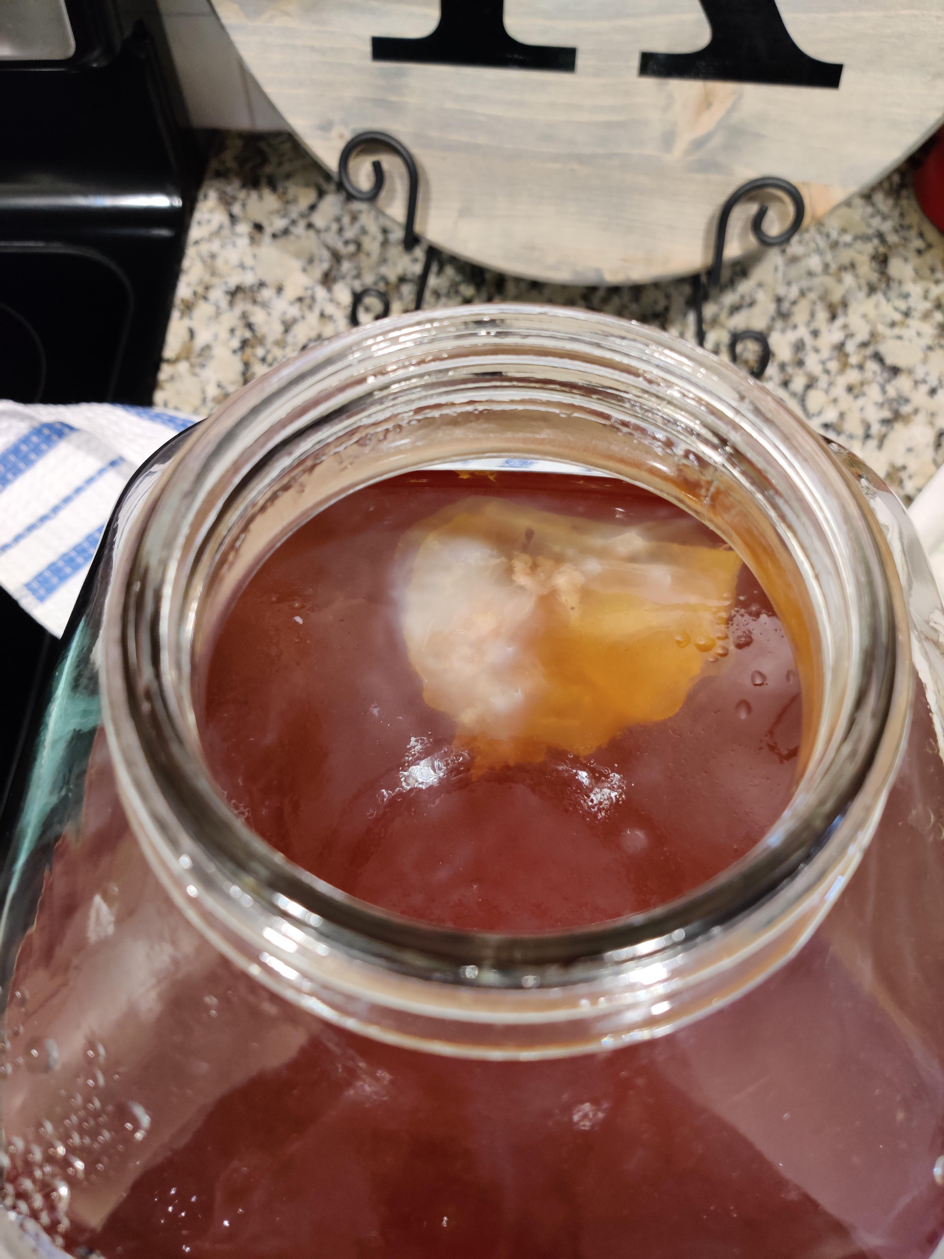 First time making kombucha. This is day 6. Is it normal for the scoby
