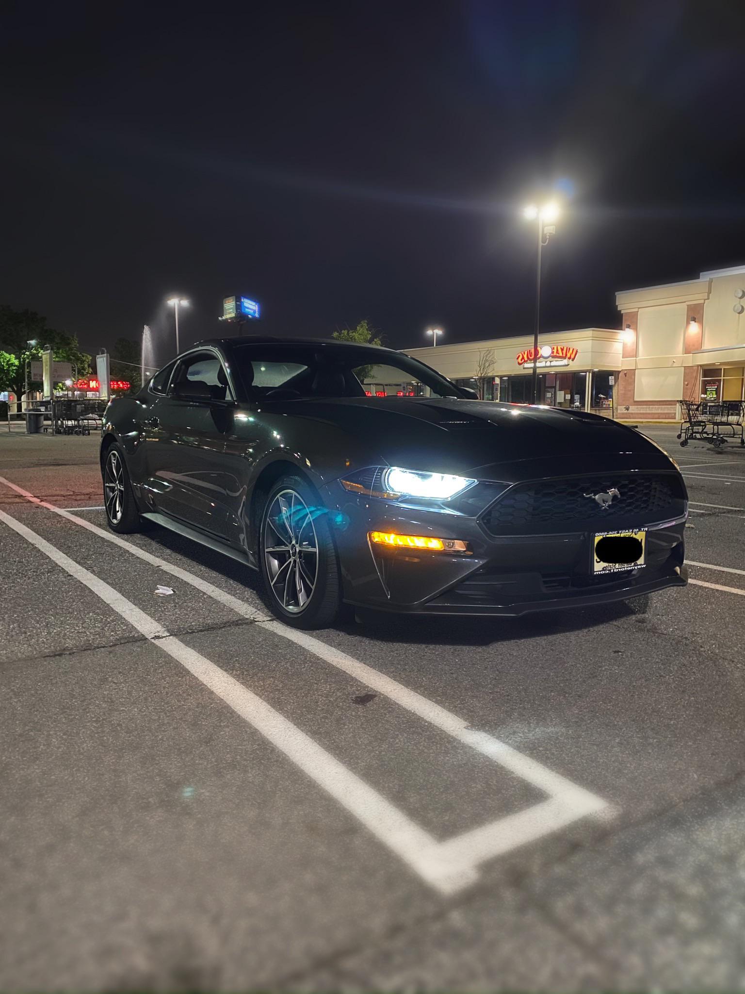 Finally bought my dream car 2019 Ecoboost Premium: Never been so happy