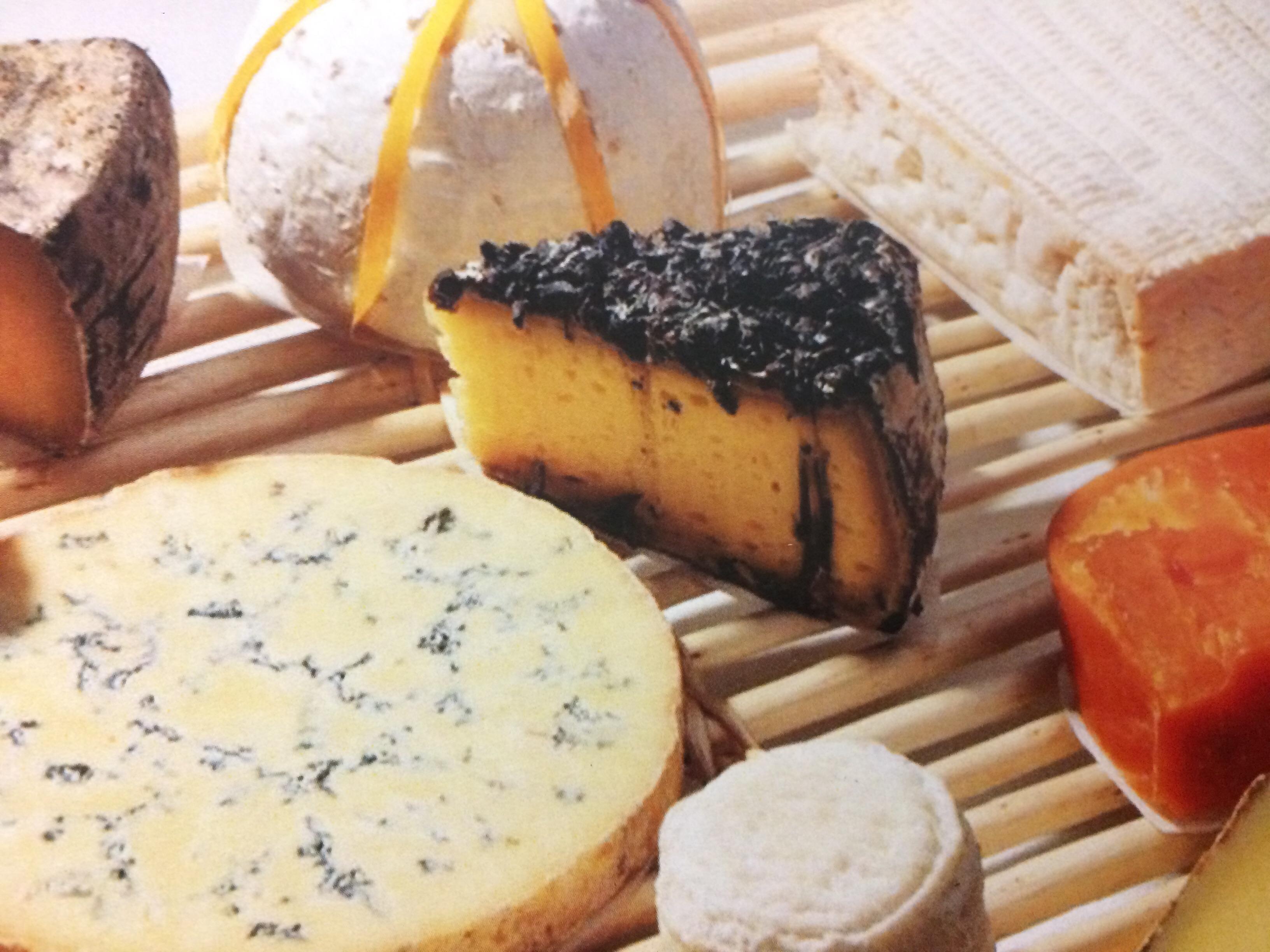 What is that black cheese? whatisthisthing