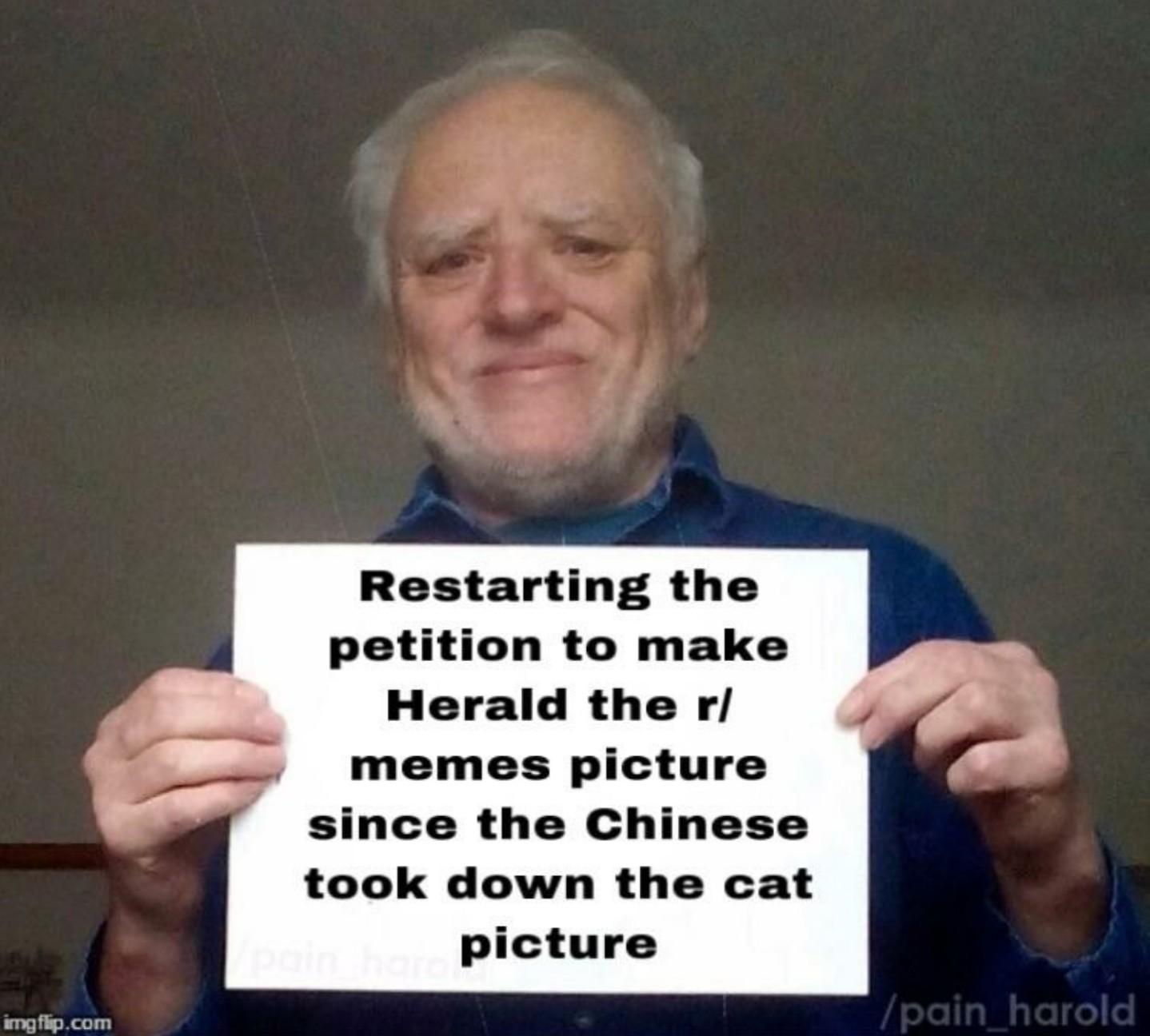 Or the cat back, DEFEAT THE COMMUNIST CHINESE via /r/memes funny memes content