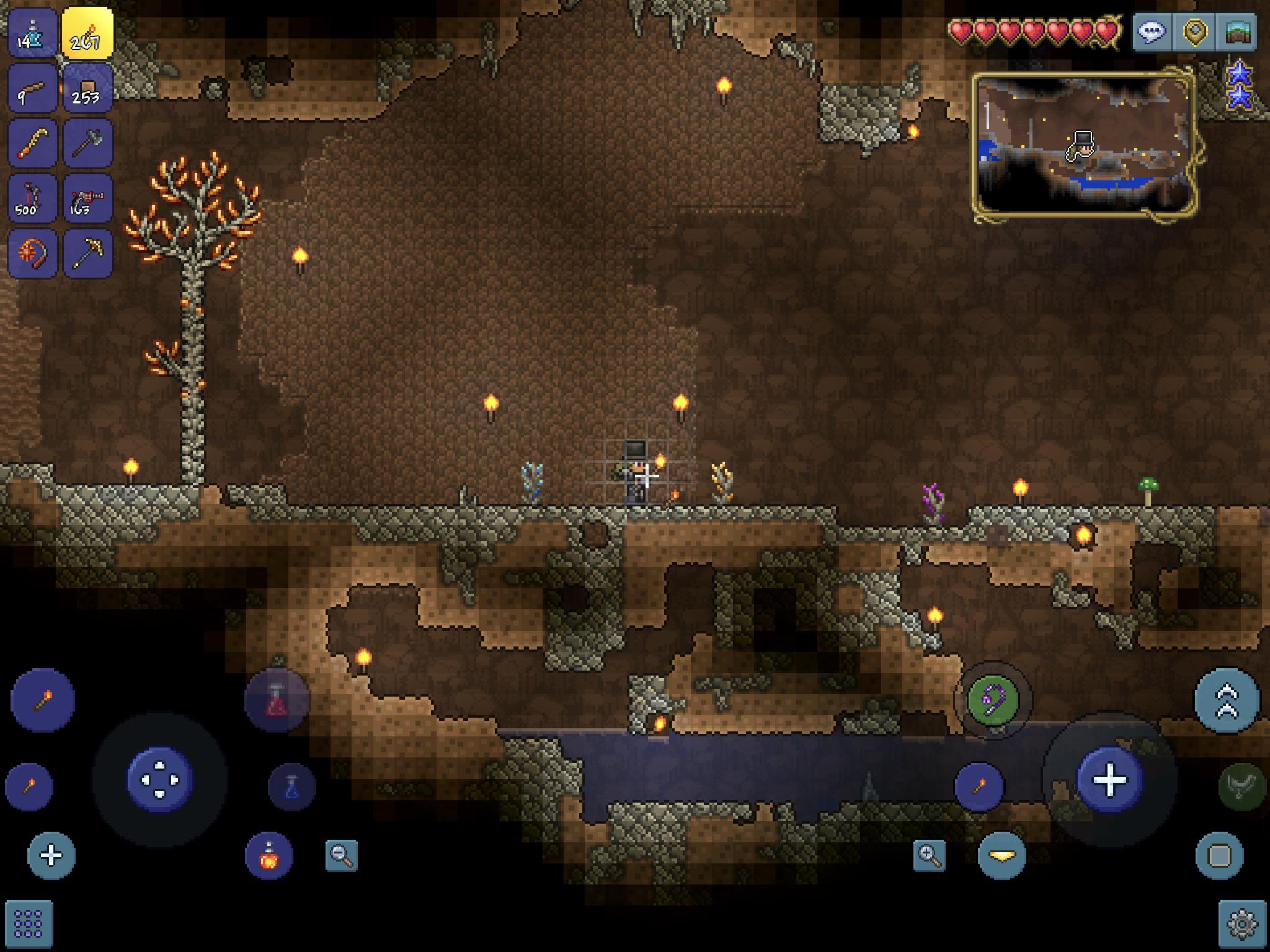 Does anyone know why only my amber gem tree is growing? r/Terraria