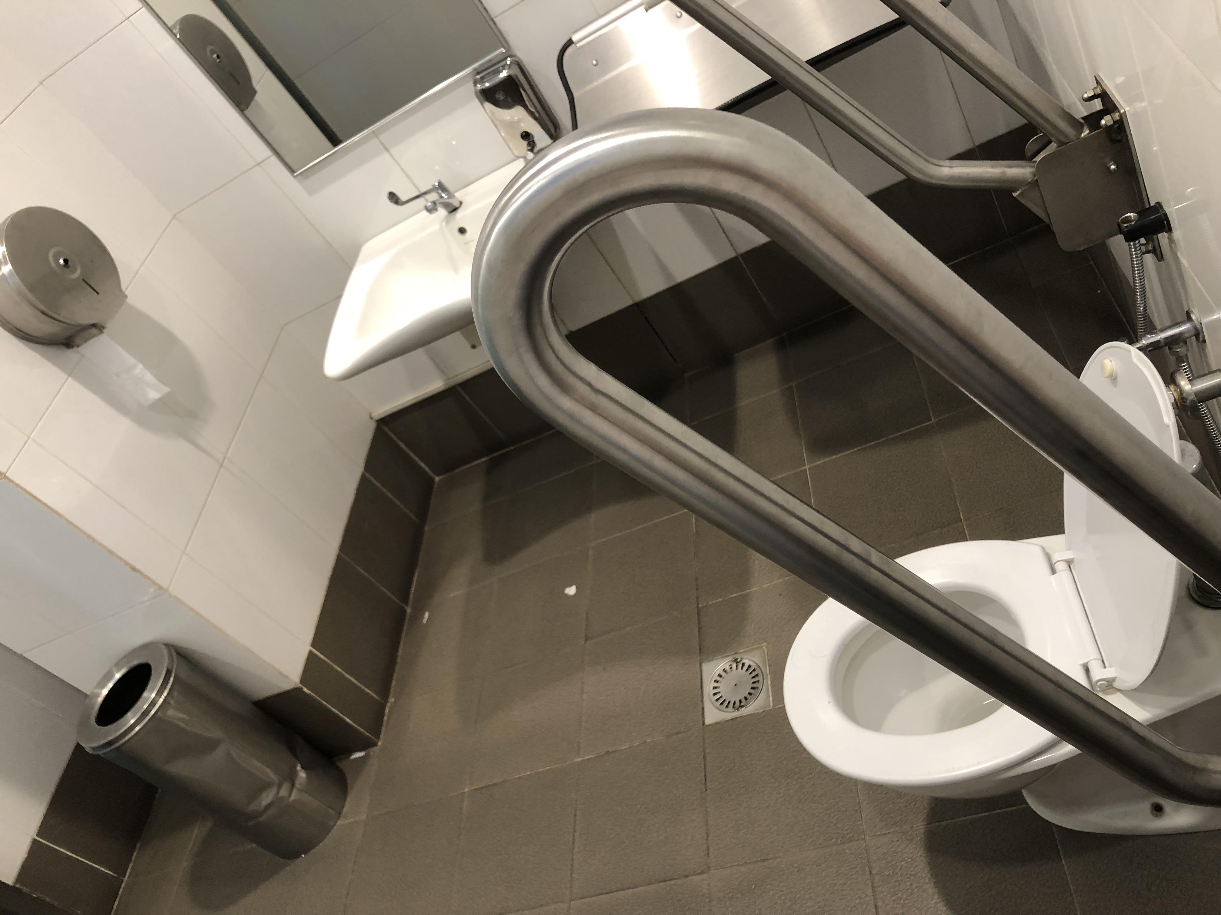 I don’t always go to the disabled toilet to poop but when I do, the