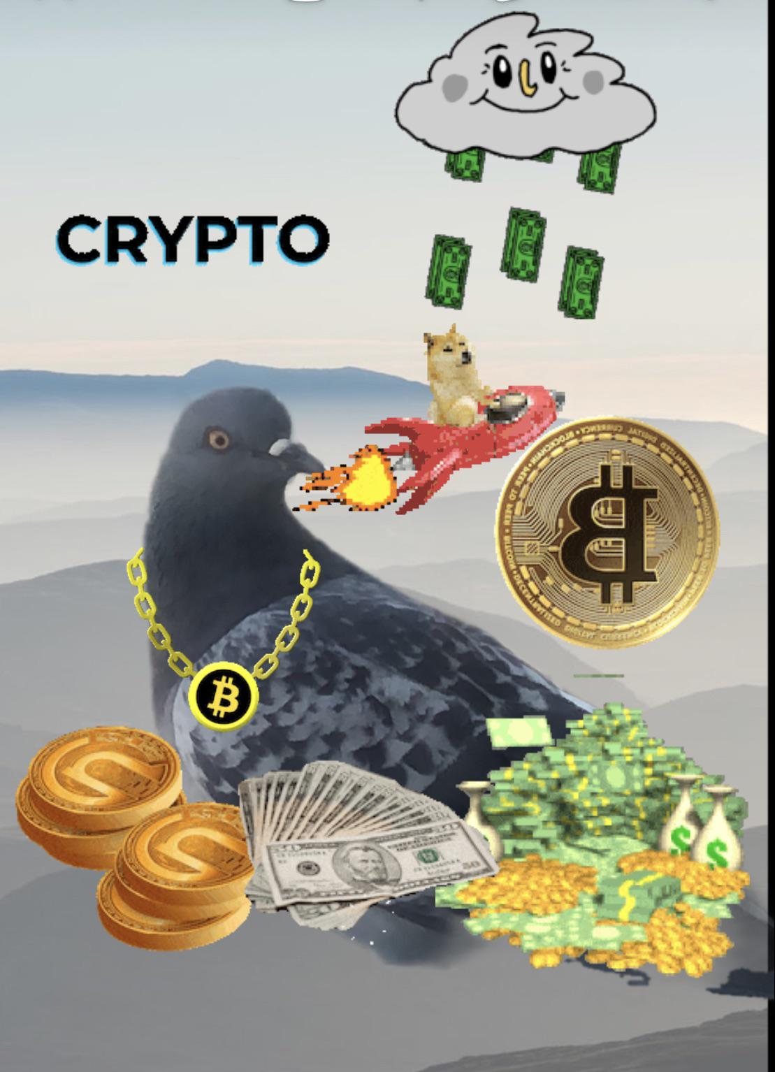 Crypto Bird r/pigeon