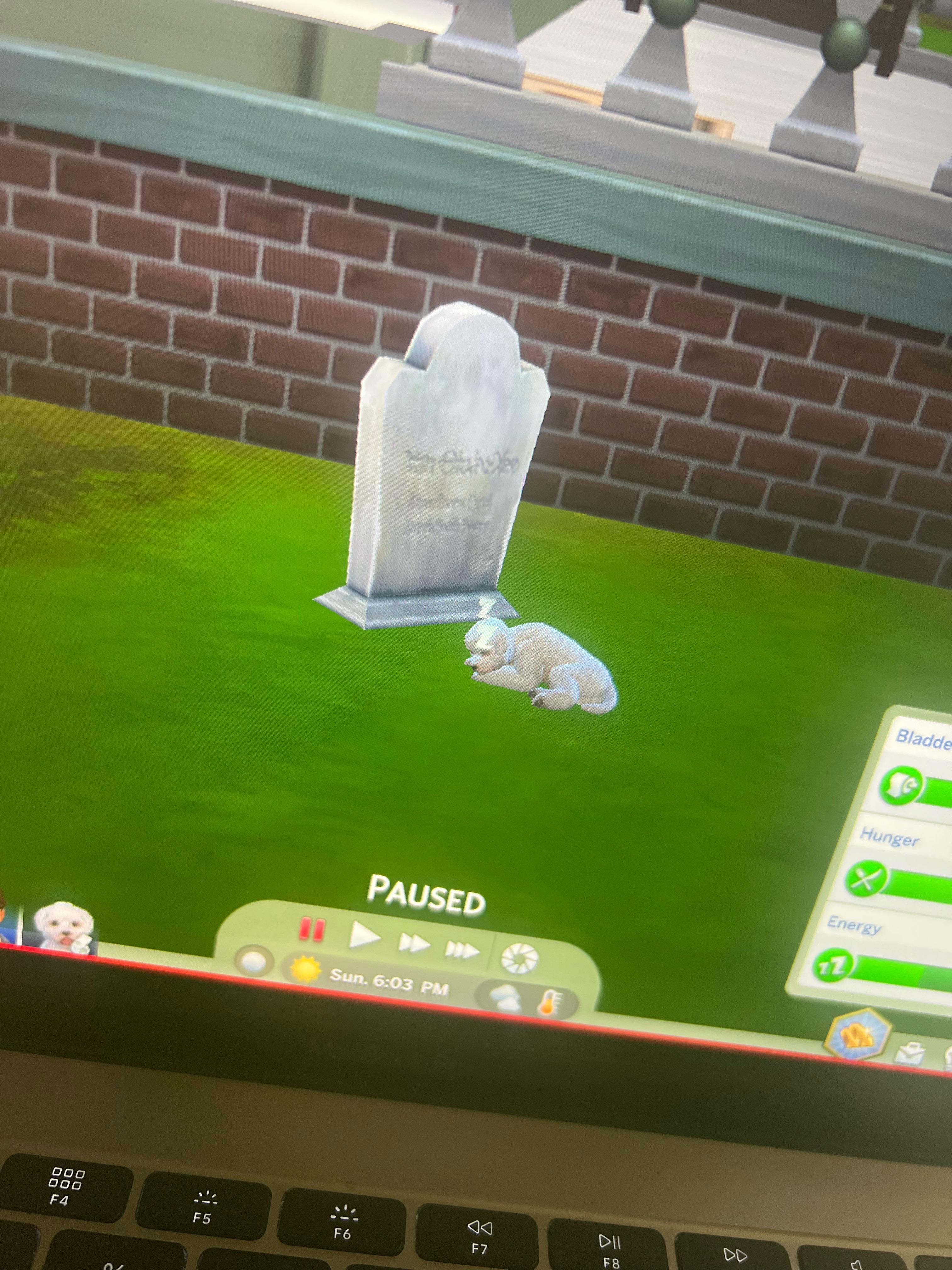 My sim tragically died and her dog and husband have been inconsolable. I just looked to see what