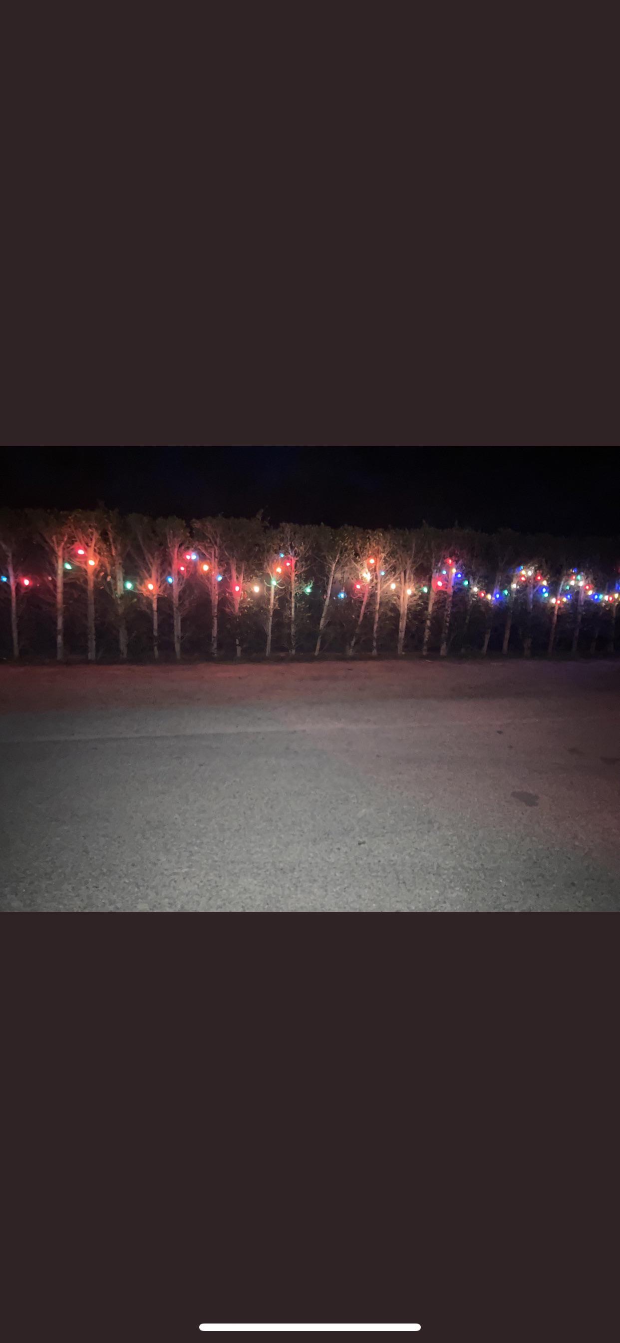 Annual tradition of Bob Dylan’s Christmas lights. 2021 version r/bobdylan