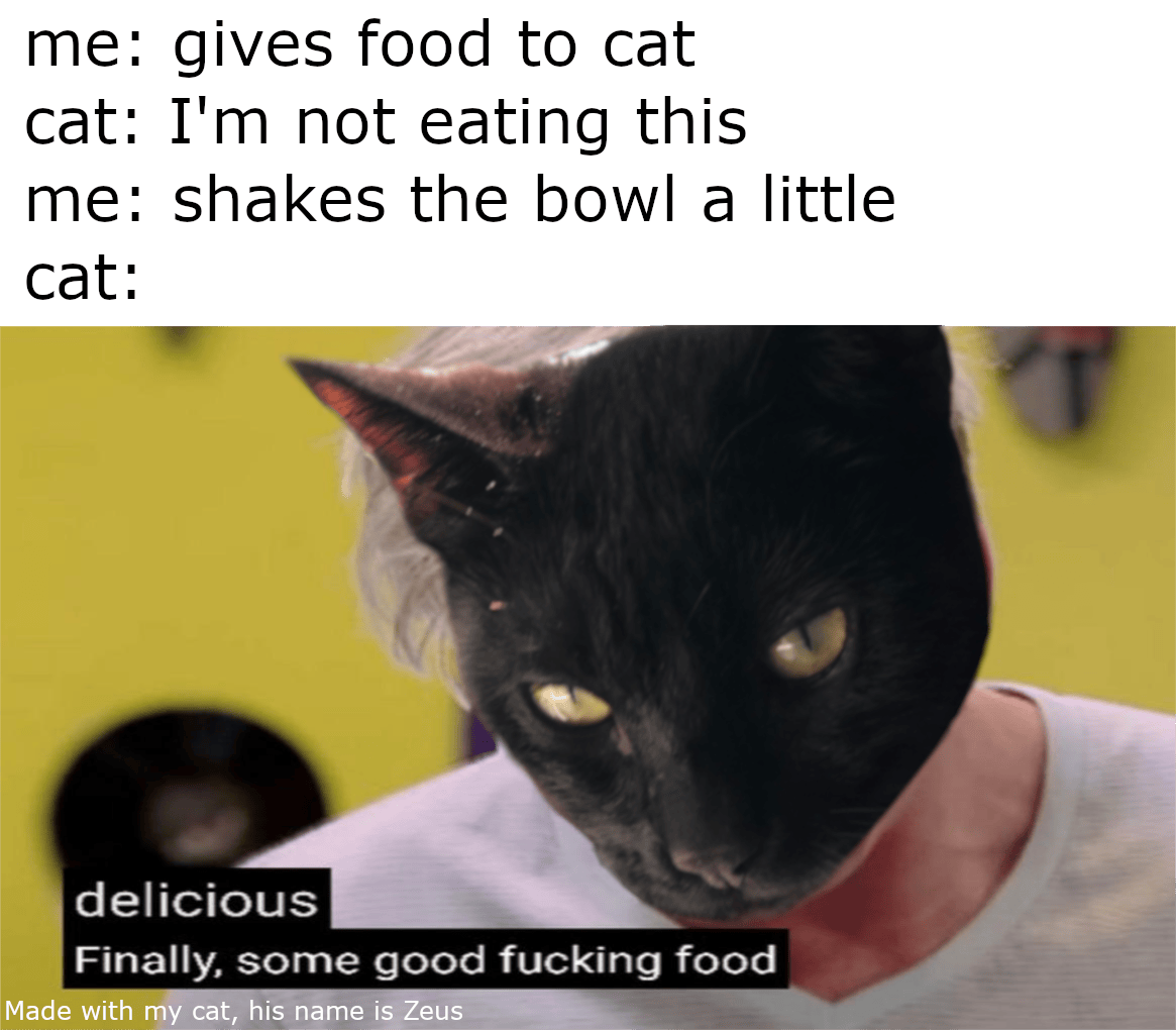 Cats have 300 IQ r/dankmemes