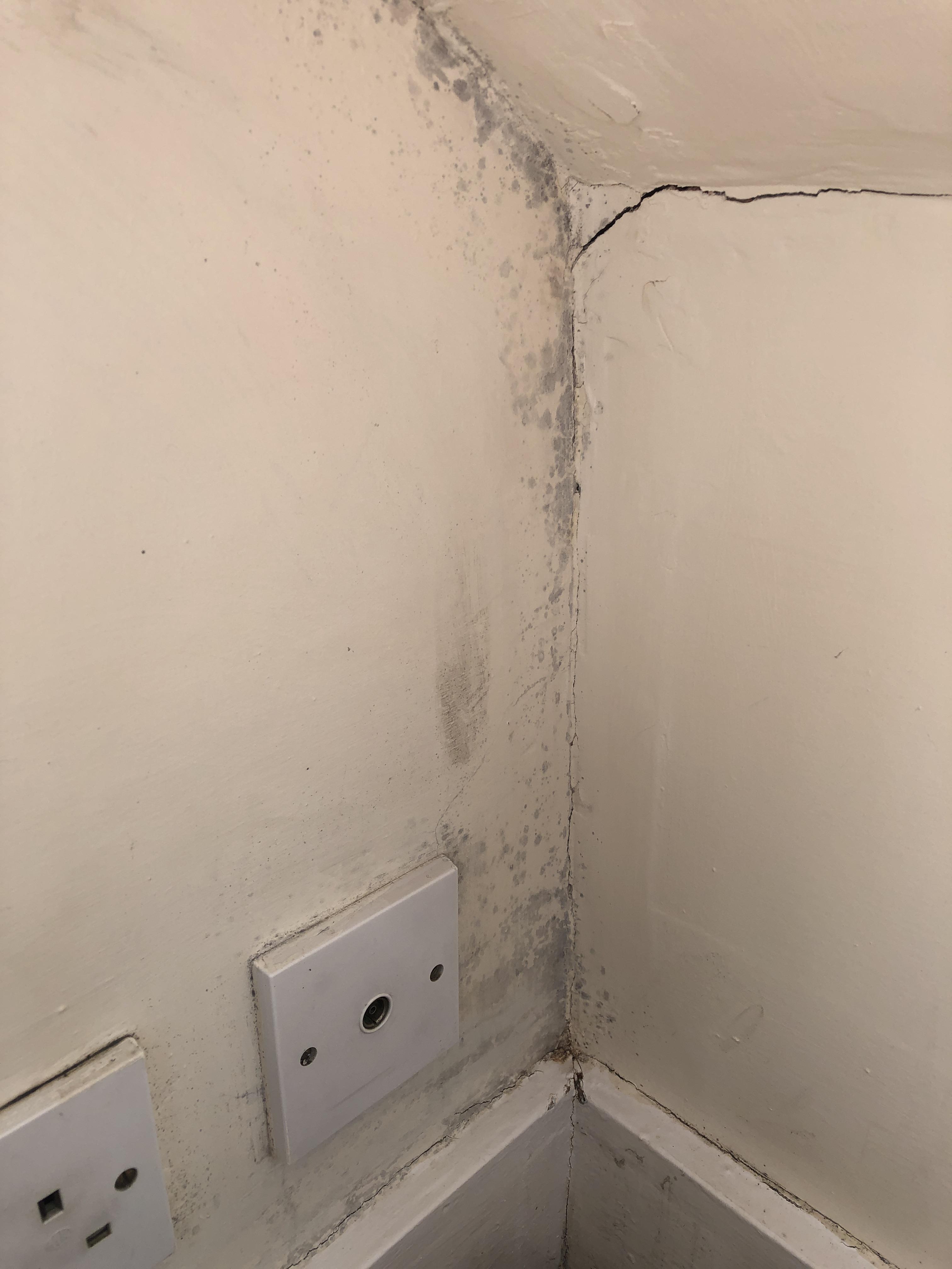How to clean mould off of wall? Used HG already. r/CleaningTips