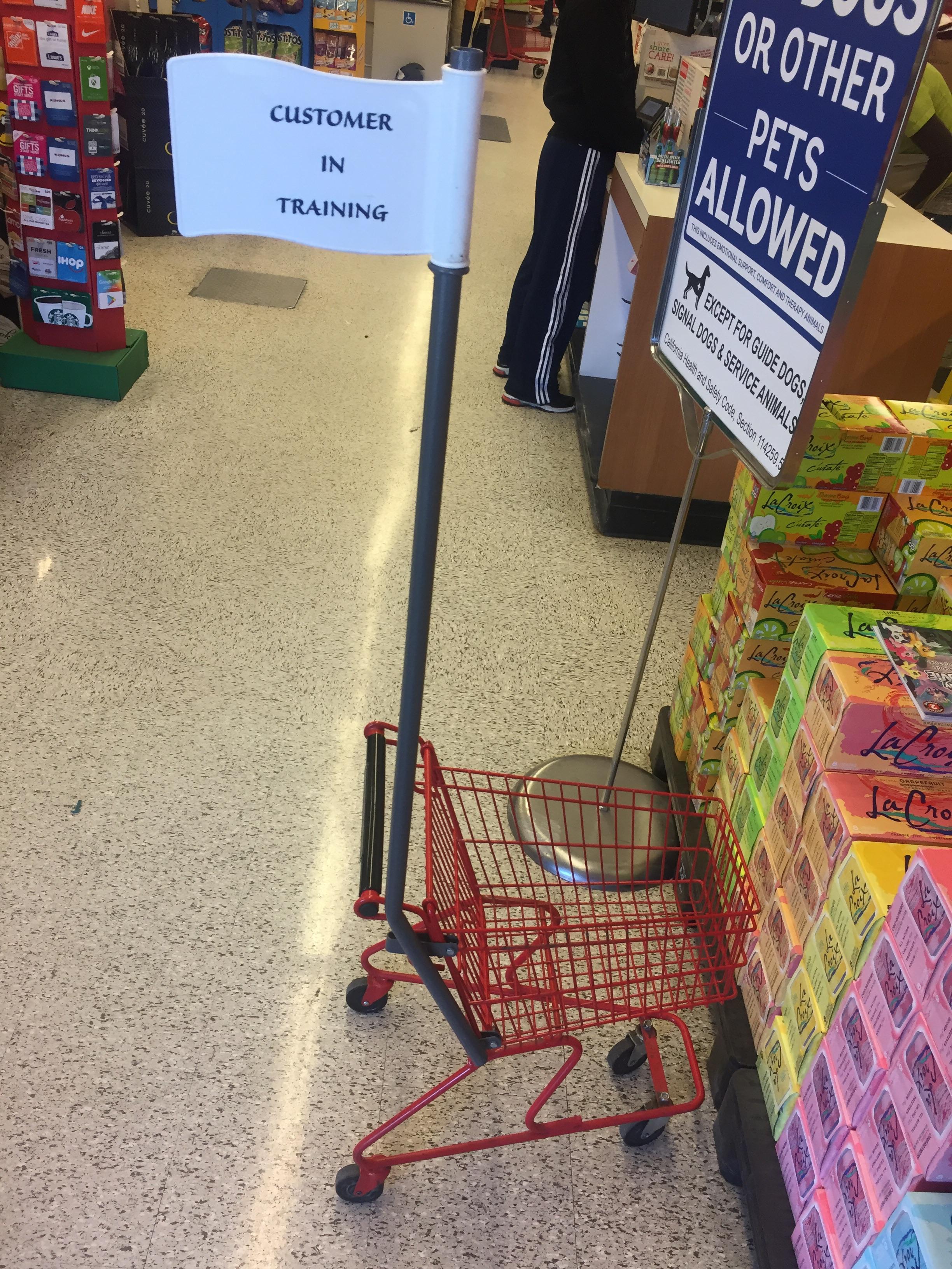 This grocery store has little carts that let children push around while