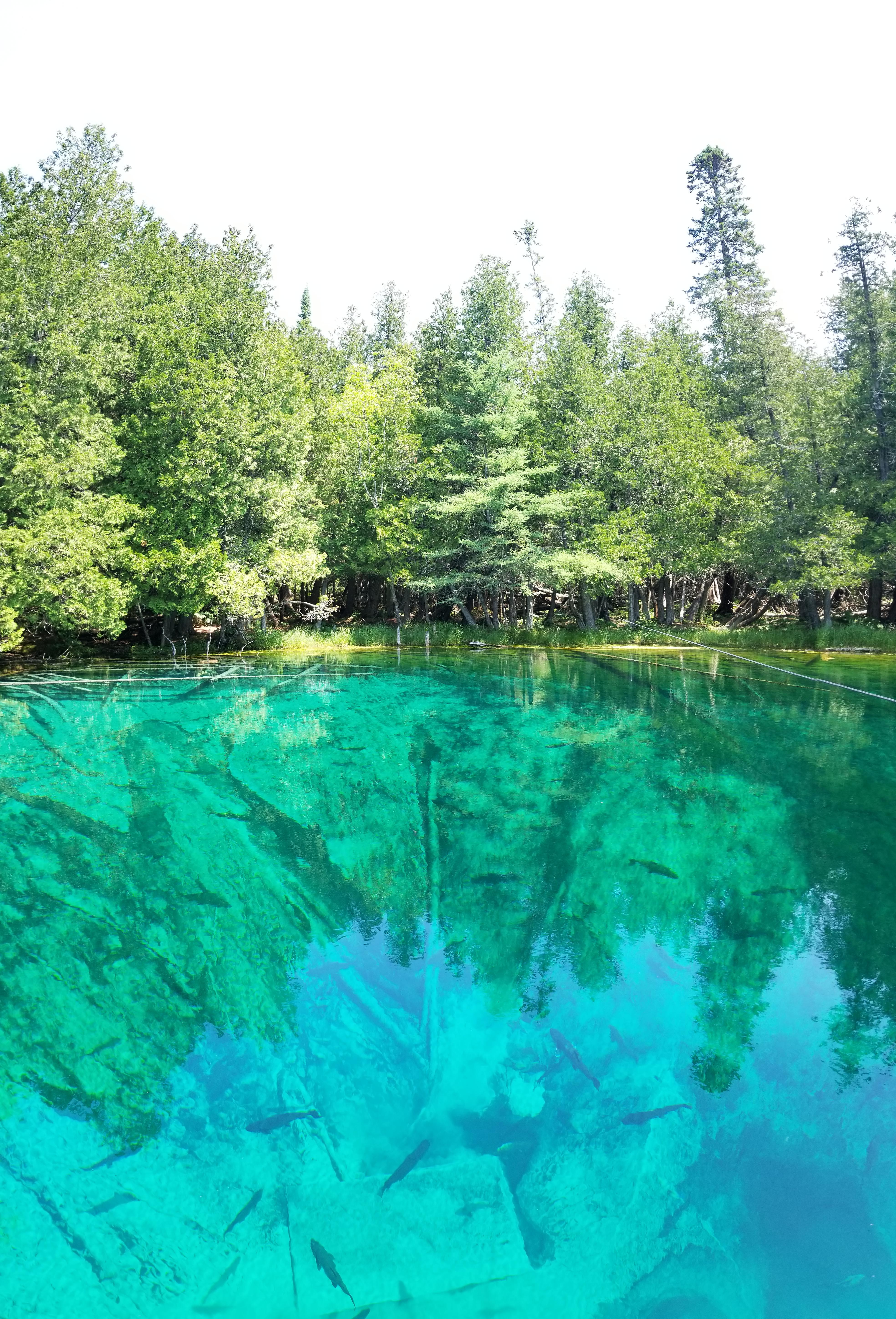 Kitchitikipi. "The Big Spring." Upper Peninsula, Michigan. r/pics