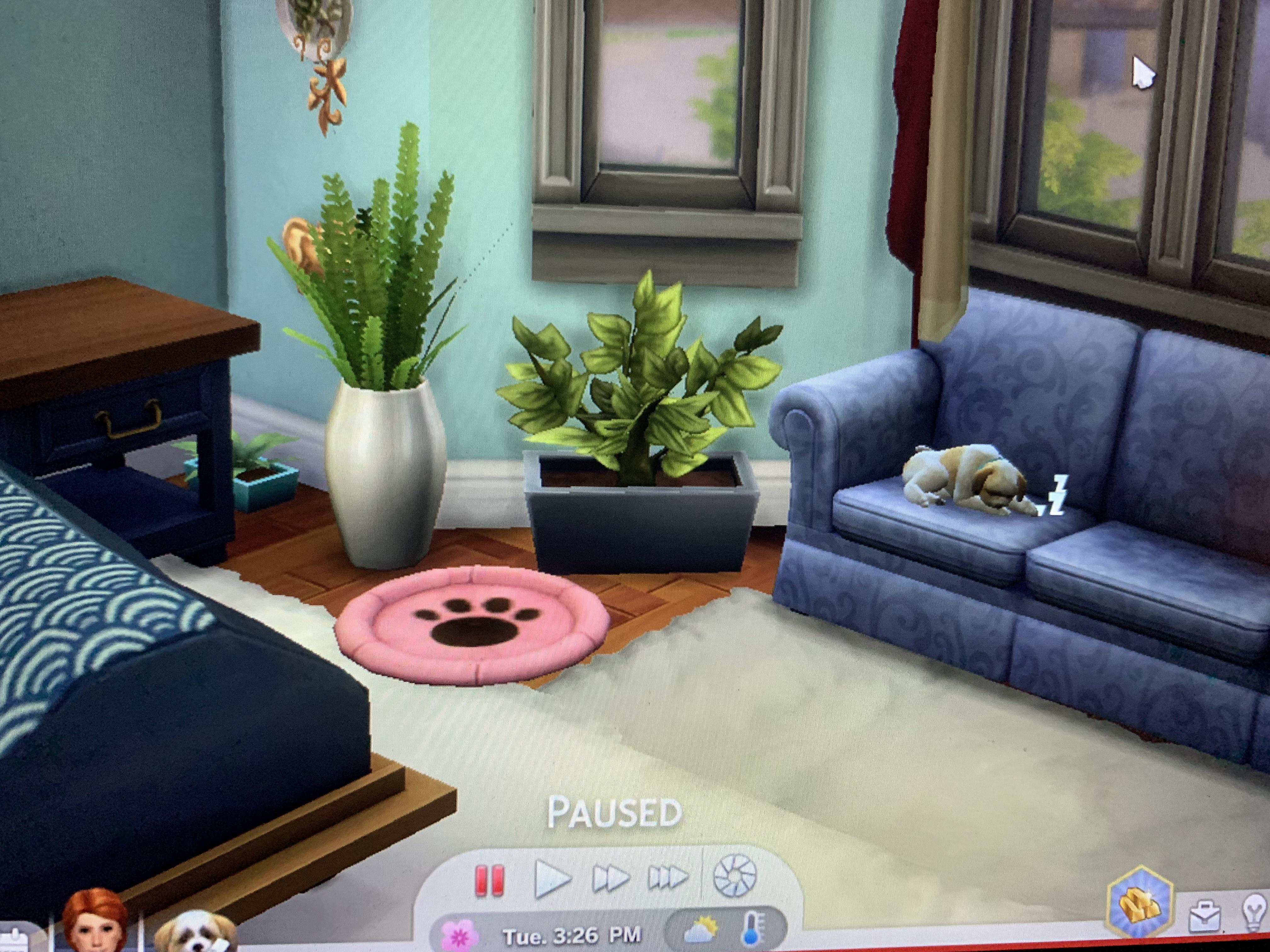 One of the most realistic part of the Sims is buying pet beds and your