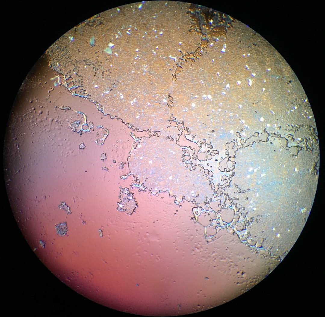 Parmeggio Reggiano cheese under a microscope r/imaginarymaps