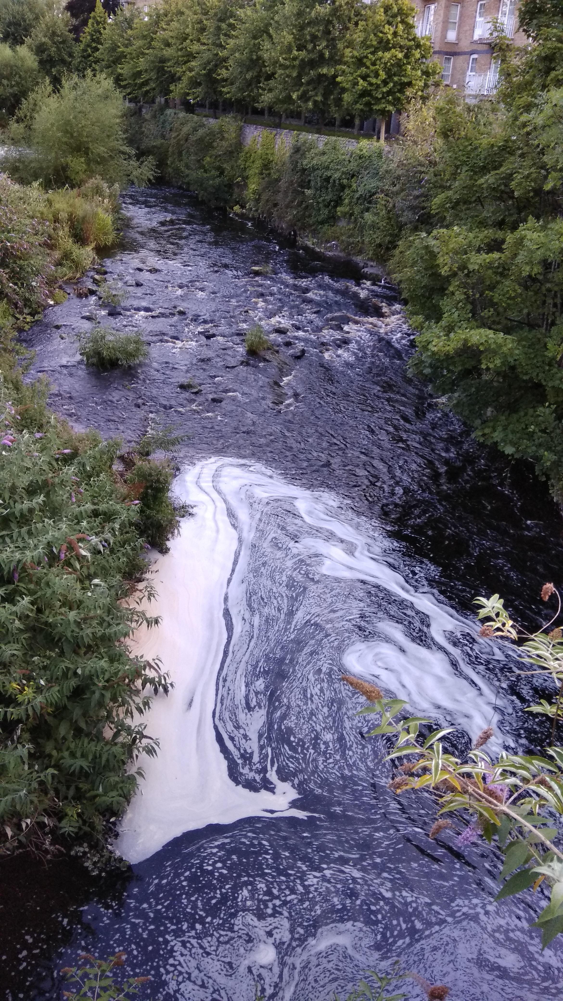 Pollution on the Dodder River (Dublin) r/ireland