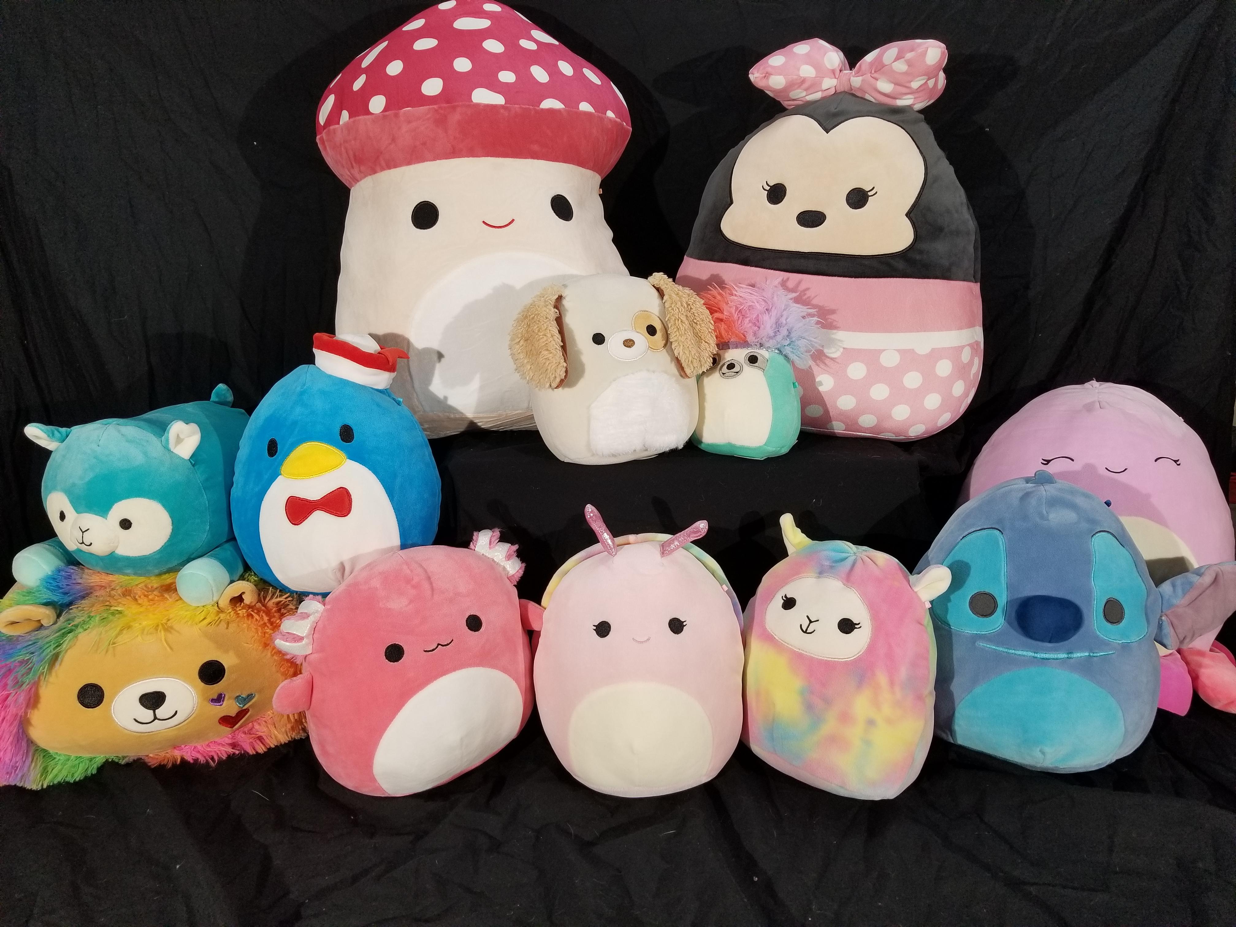 My small squishmallow collection! r/squishmallow