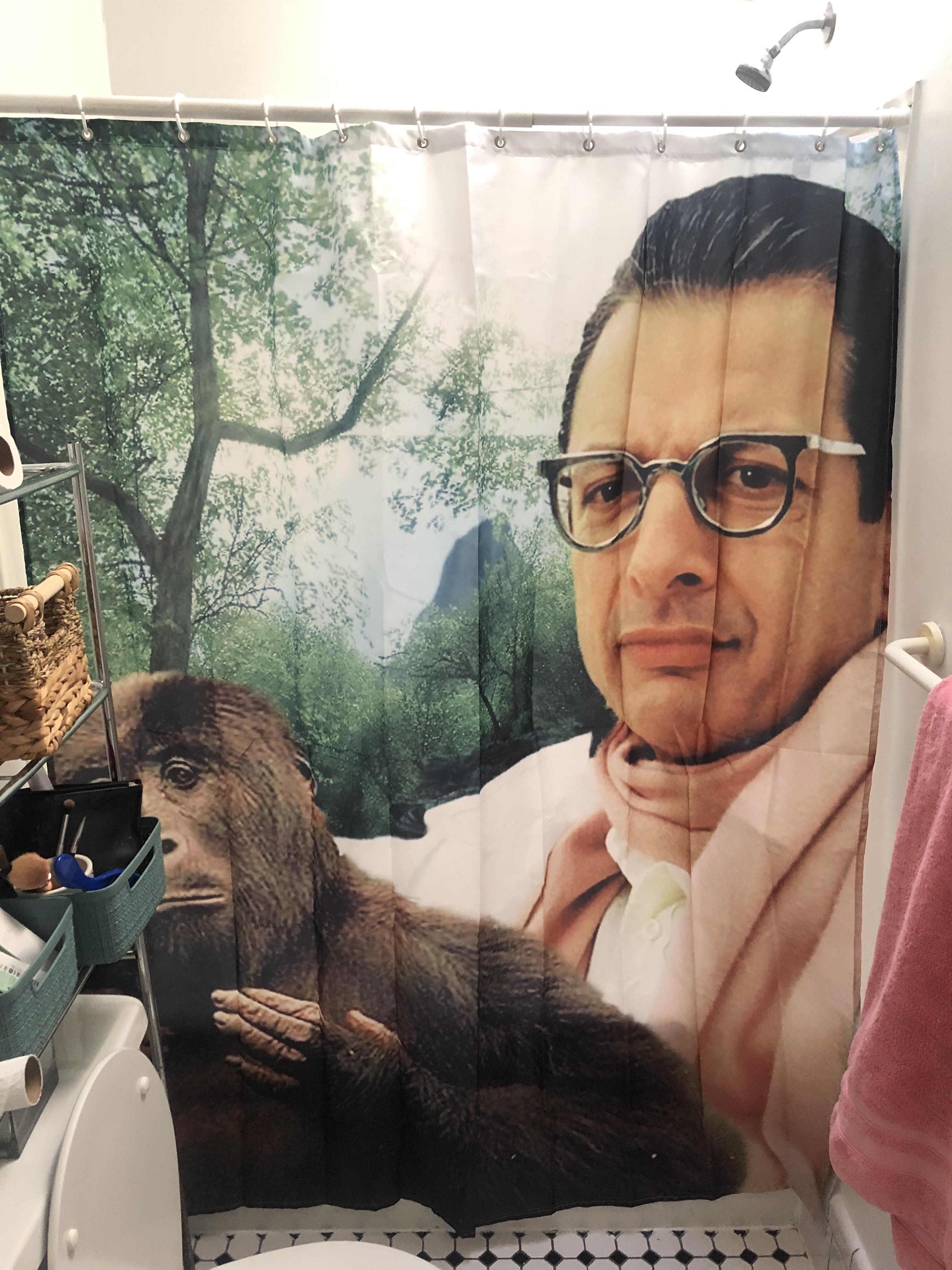 The shower curtain really pulls together the new apartment. r