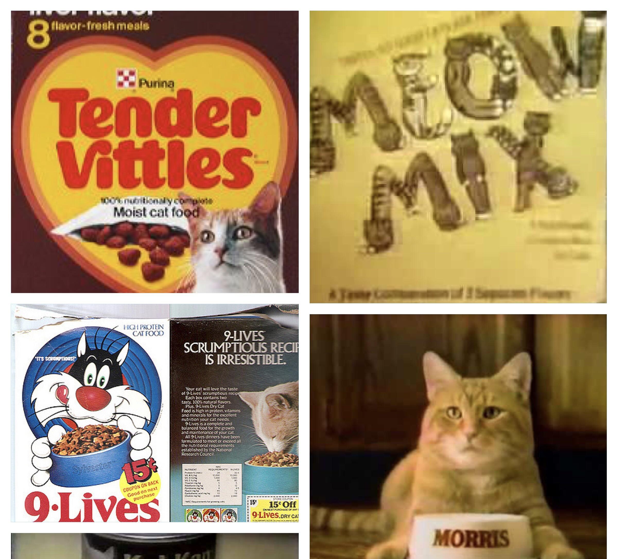 Feeding your cat these cat foods in the 80’s. r/nostalgia