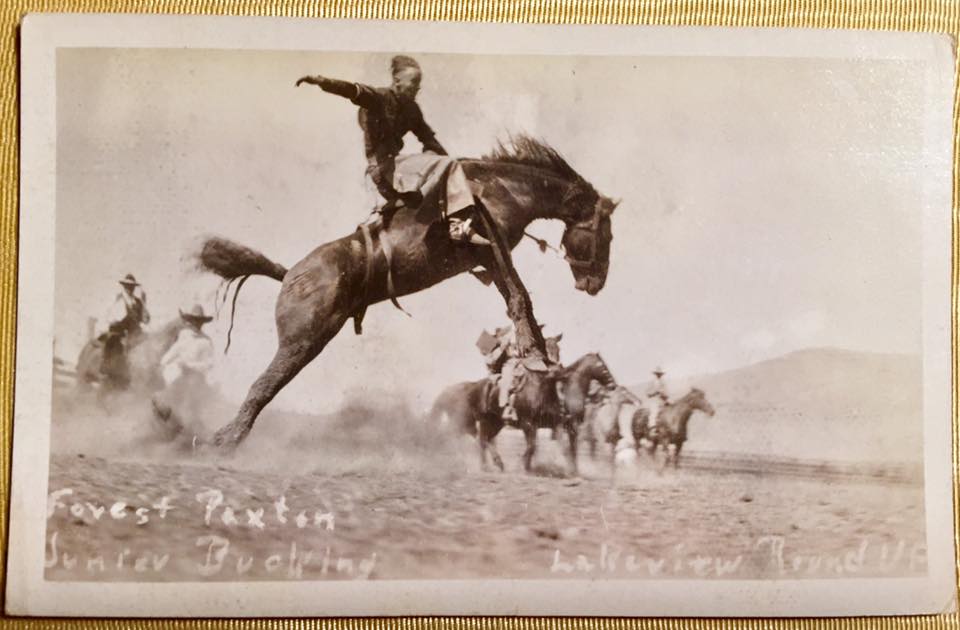 Bucking bronco at the Lakeview roundup c. 1928 r/OldSchoolCool