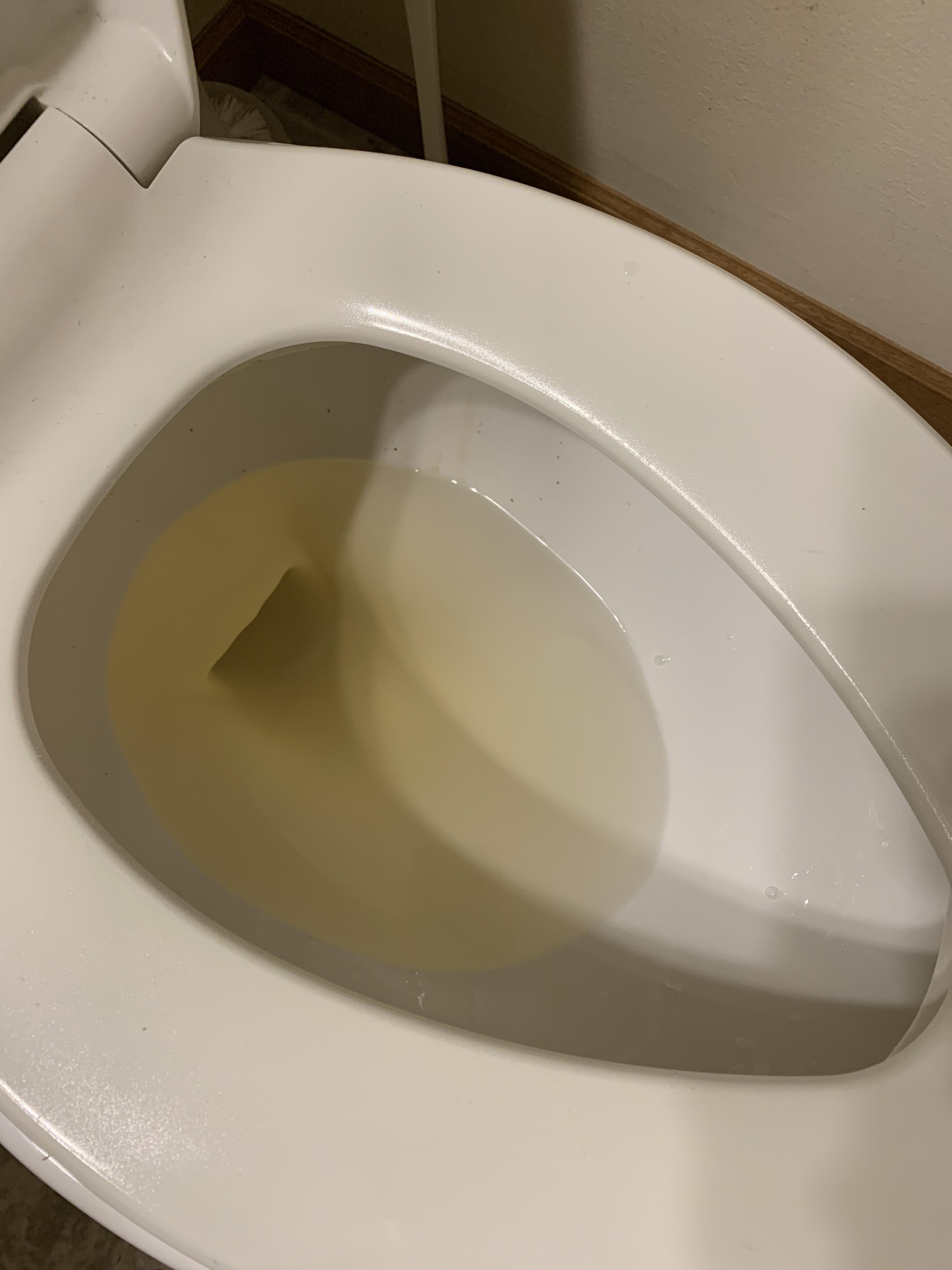 The water in our toilet, kitchen sink, and bathroom sink is coming out