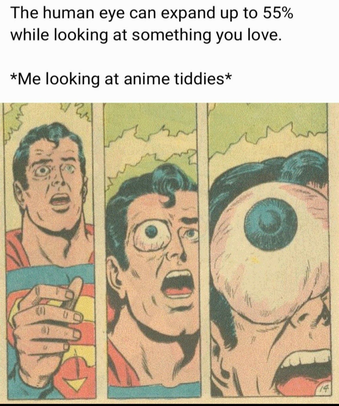 Hard choice between anime tiddies and real tiddies memes