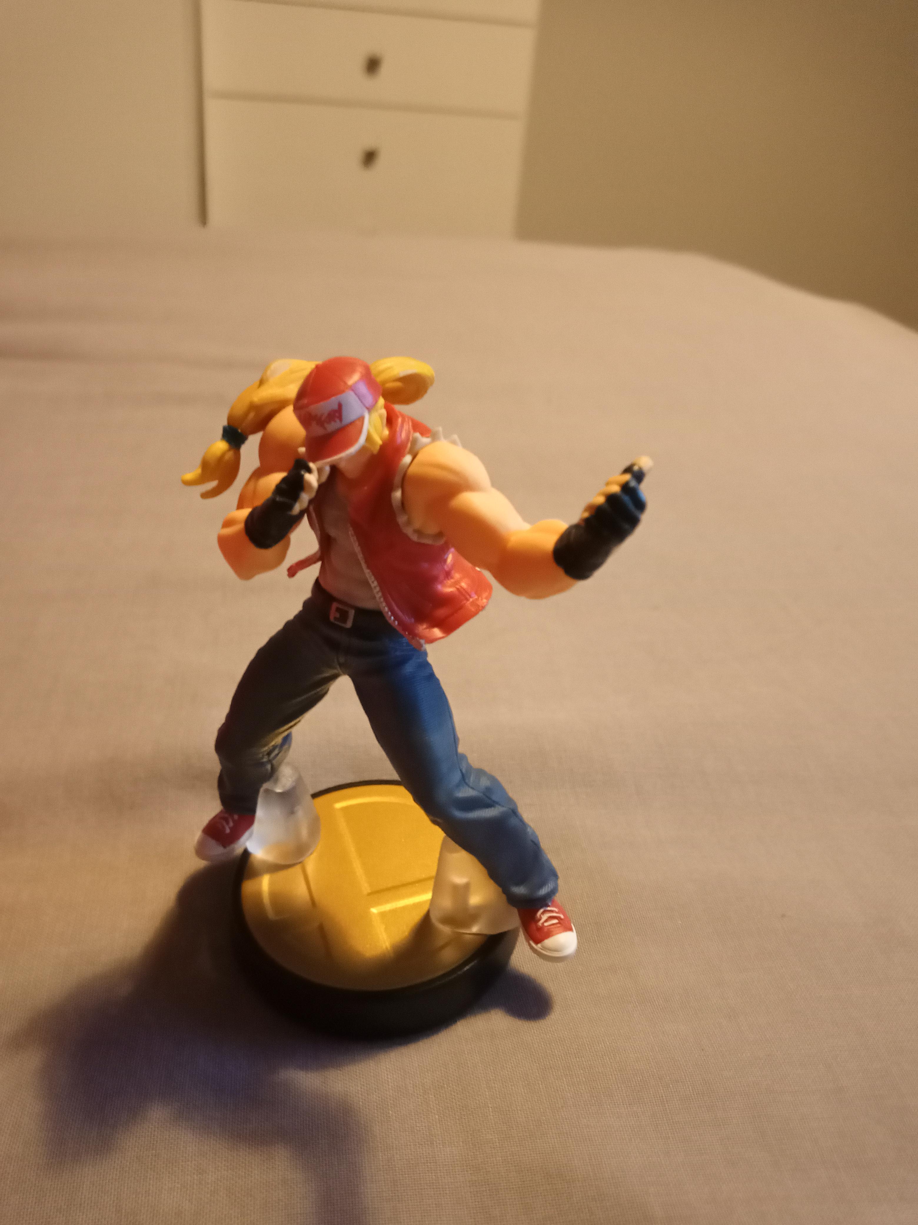 I just got my Terry amiibo, what should I name him? r/amiibo