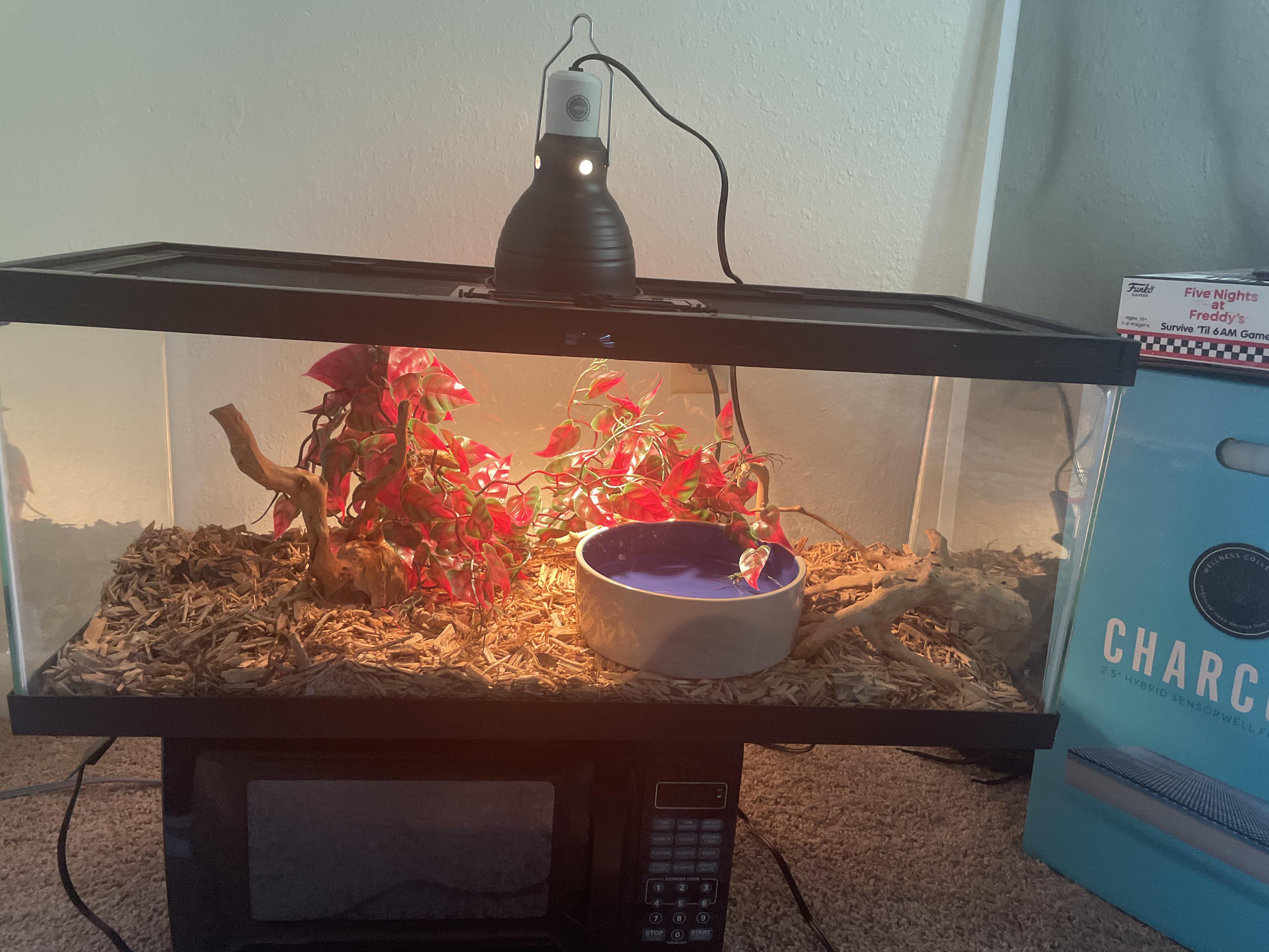 Finally got a heat lamp for my snake he’s extremely happy now was