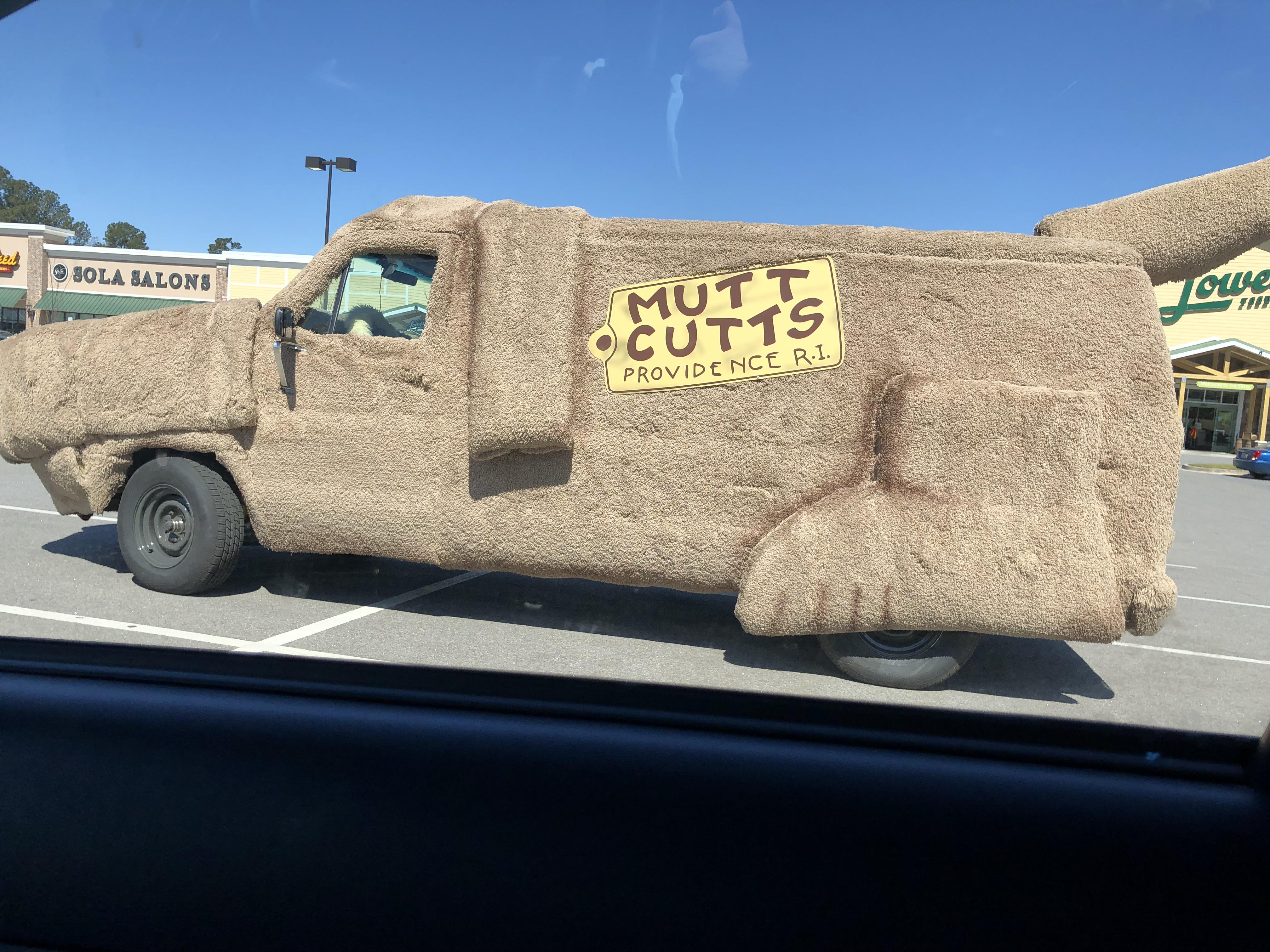 This van in my hometown is wrapped in carpet to look like a dog r