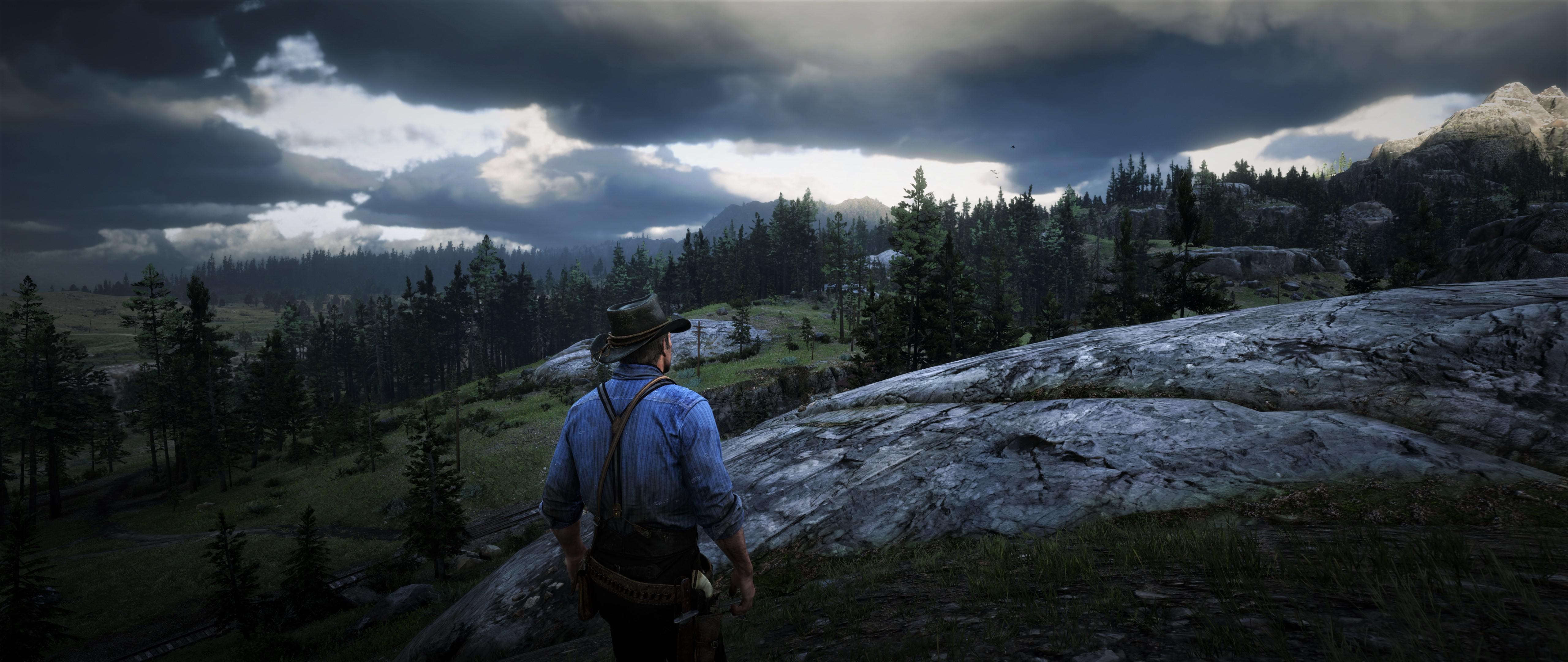 RDR2 PC 5K resolution Max Settings r/reddeadredemption