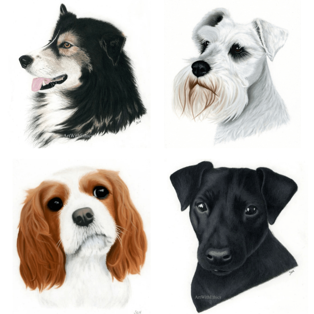 Hi everyone! I'm completely new to reddit but I've been doing pet