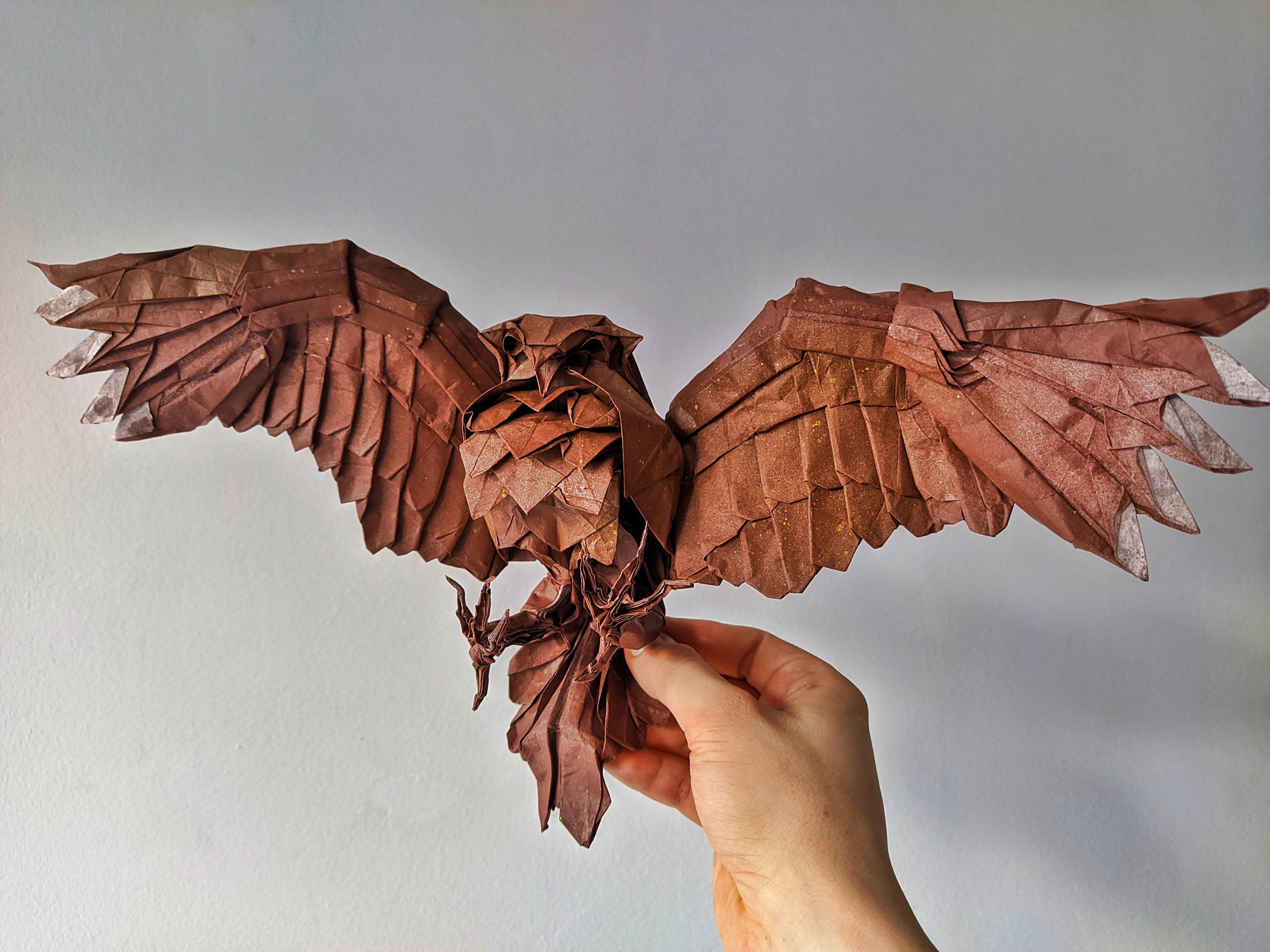 I folded an origami owl, from one giant square paper. I'm pretty happy