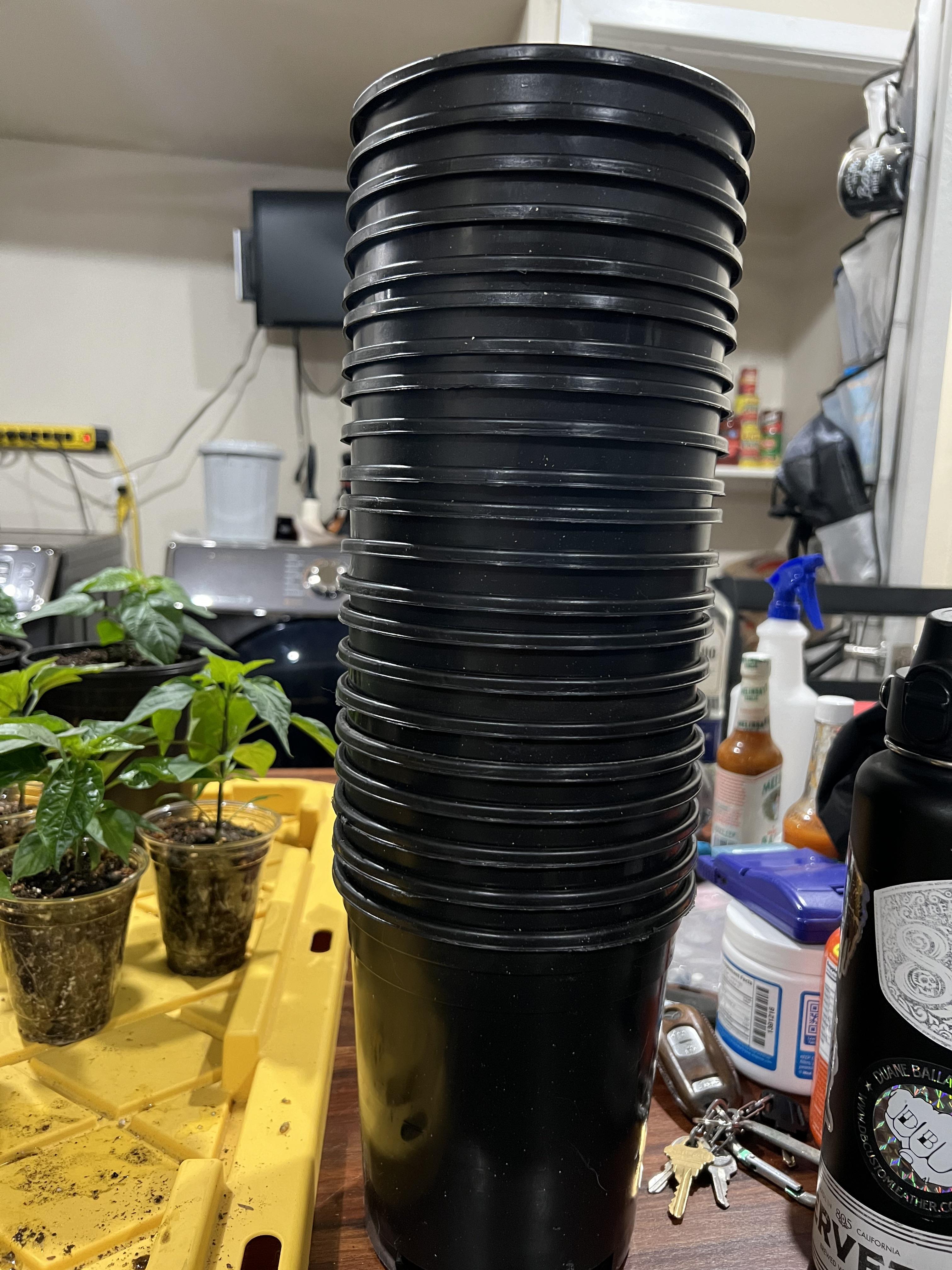 Check out hydroponics stores for pots. These 1 gallon pots were 65 cents each! r/houseplants